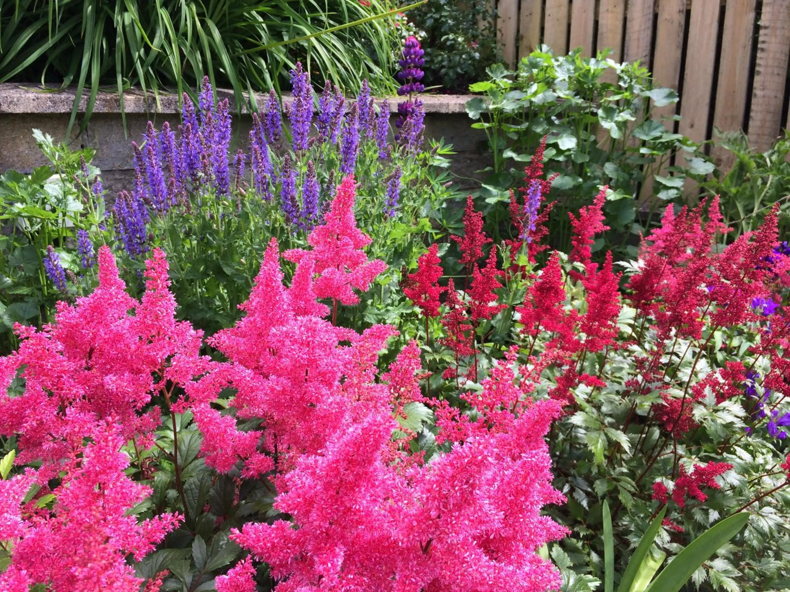 Garden in Castlecroft Bed and Breakfast
