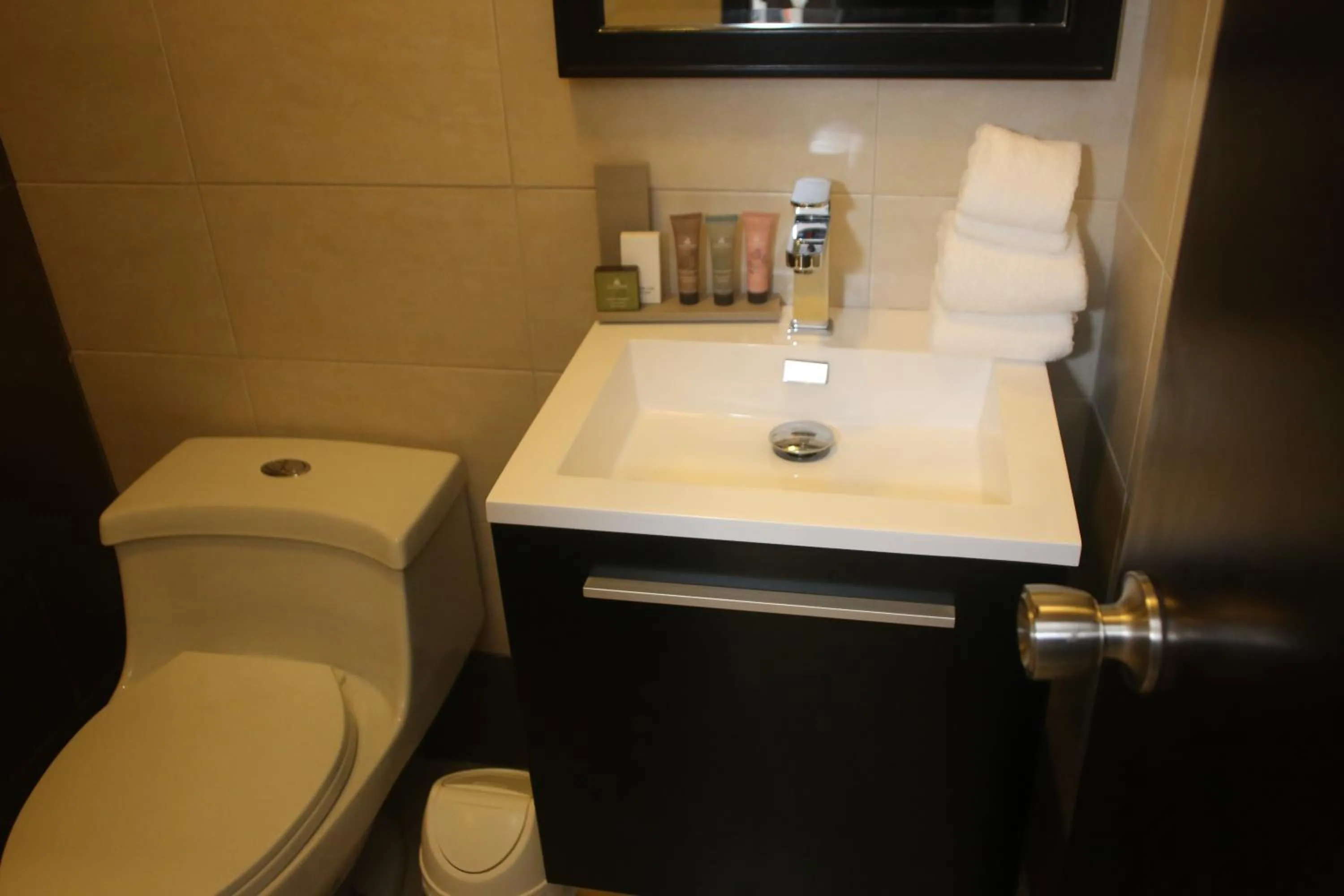 Toilet in Aranjuez Hotel & Suites