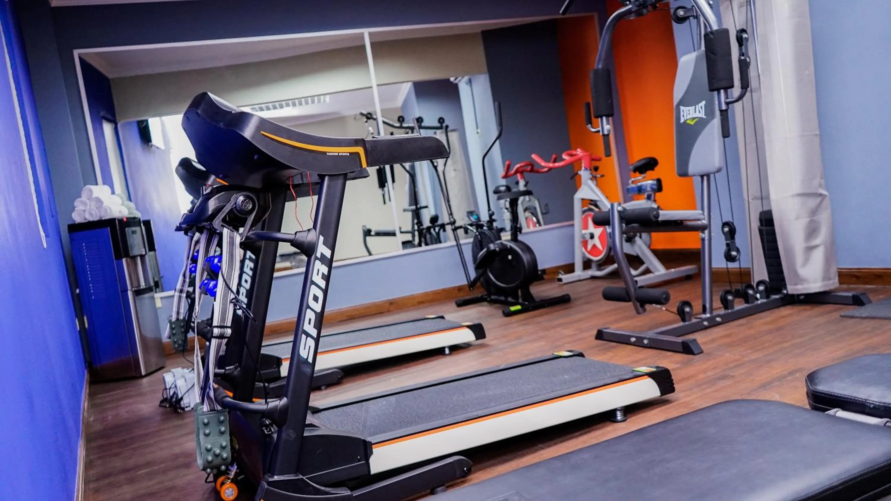 Fitness centre/facilities in Aranjuez Hotel & Suites