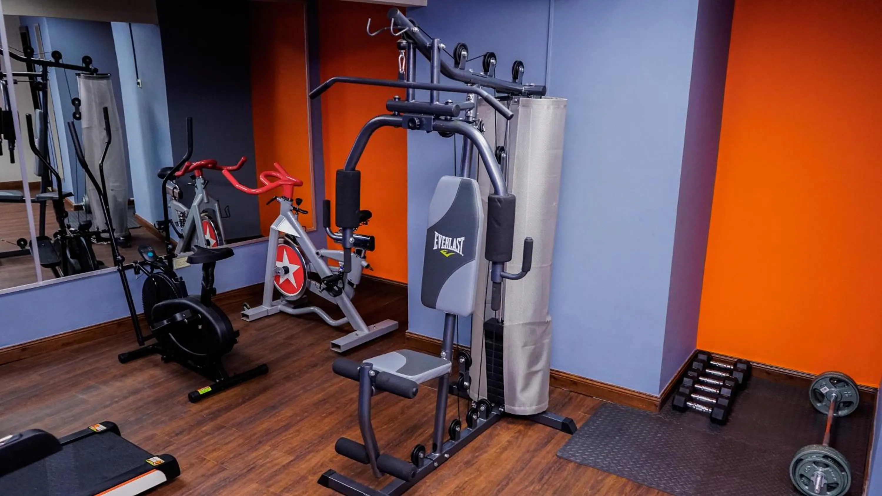 Fitness centre/facilities in Aranjuez Hotel & Suites