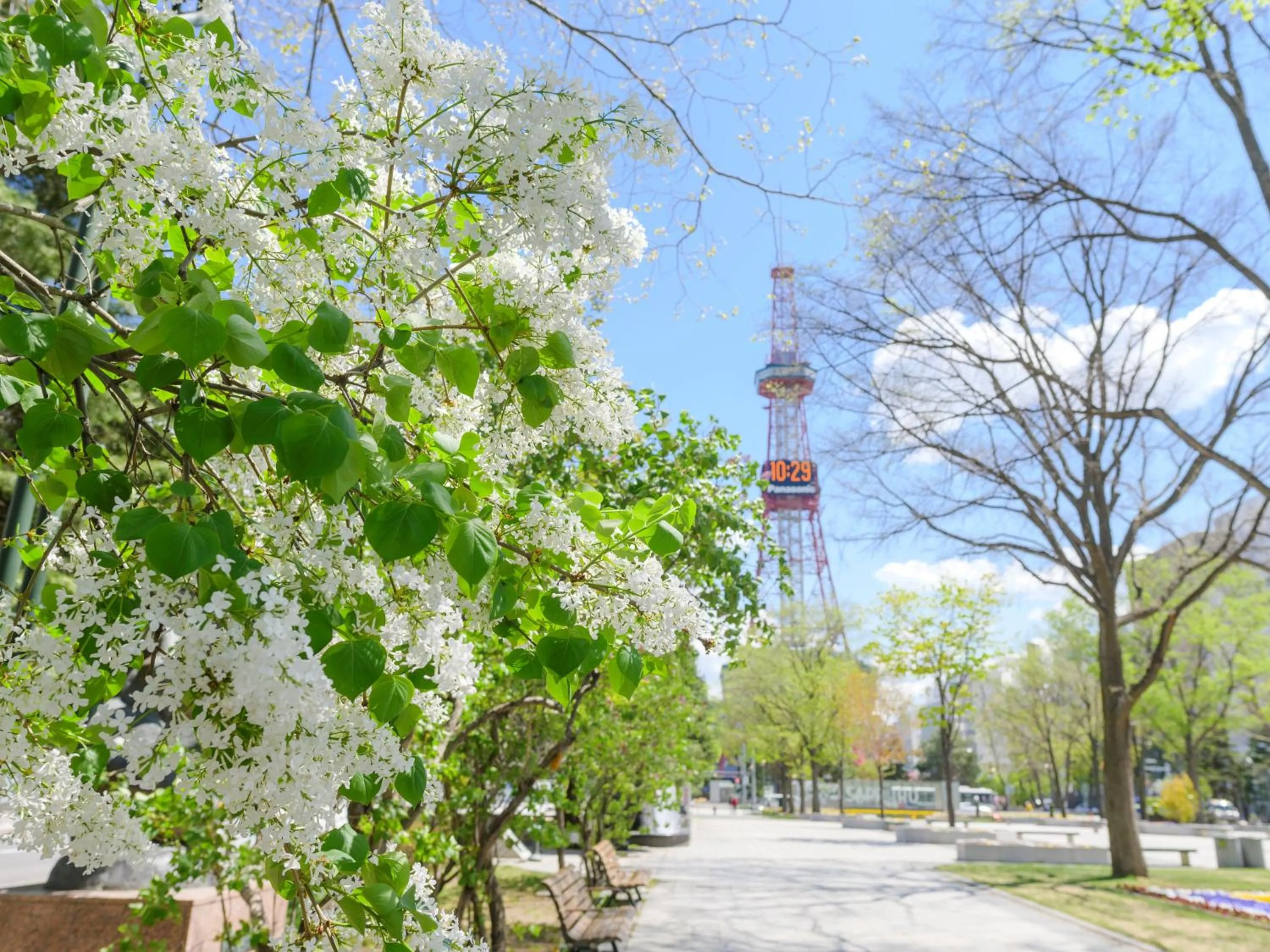 Odysis Sapporo Odori Koen Hotel