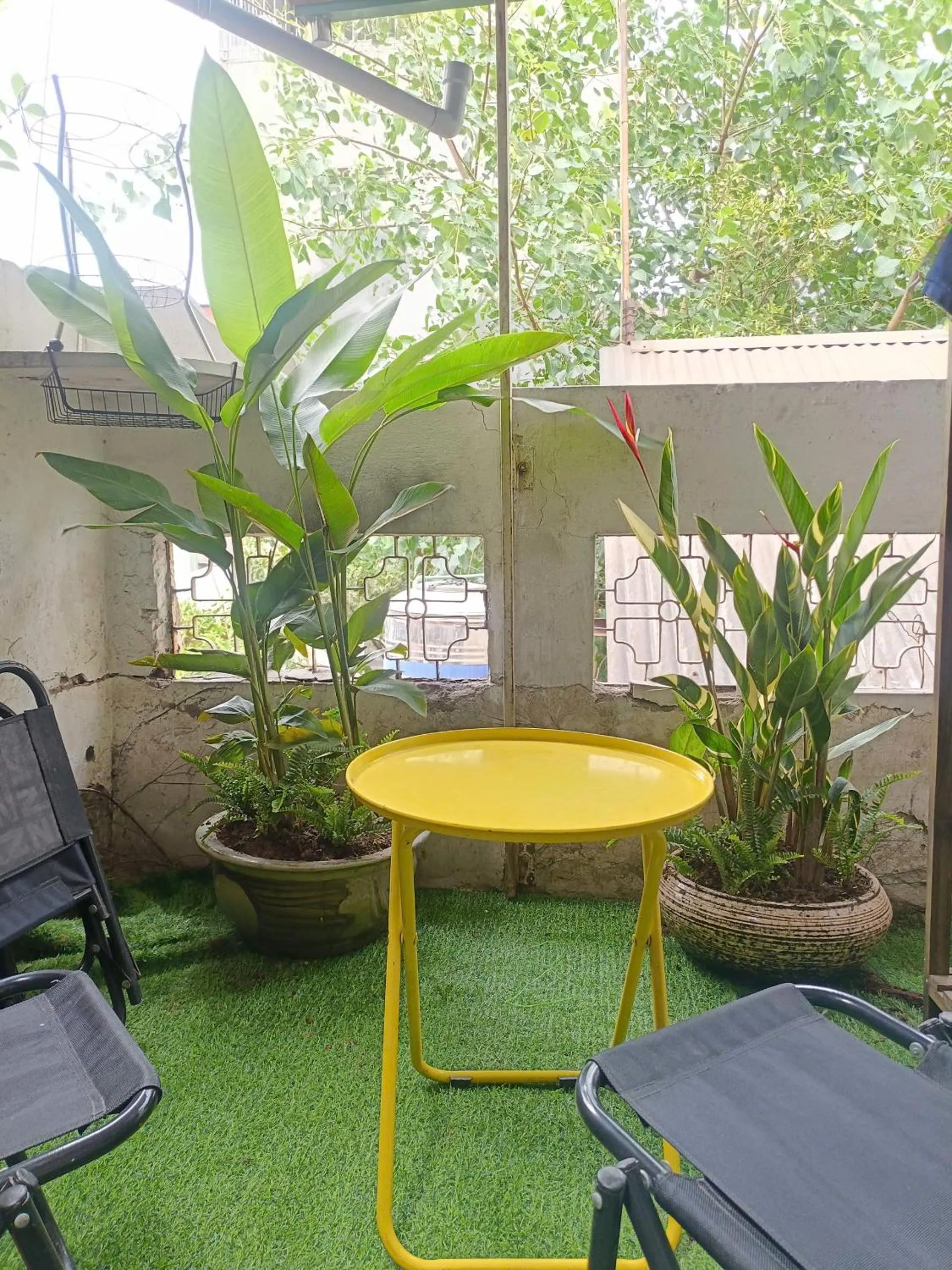 Viet Vintage Hostel n Pub - Soft mattress - Free beer on Wed,Thu,Fri,Sat