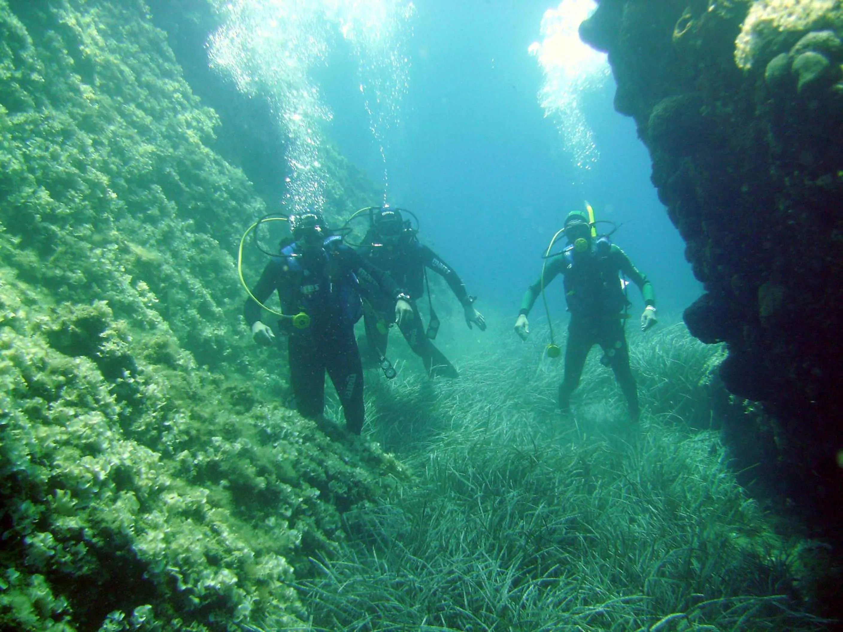 Snorkeling in Marmari Bay Hotel