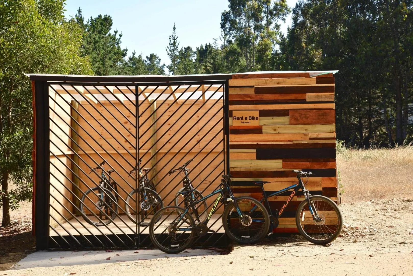 Cycling in Tripanko Lodge & Bungalows