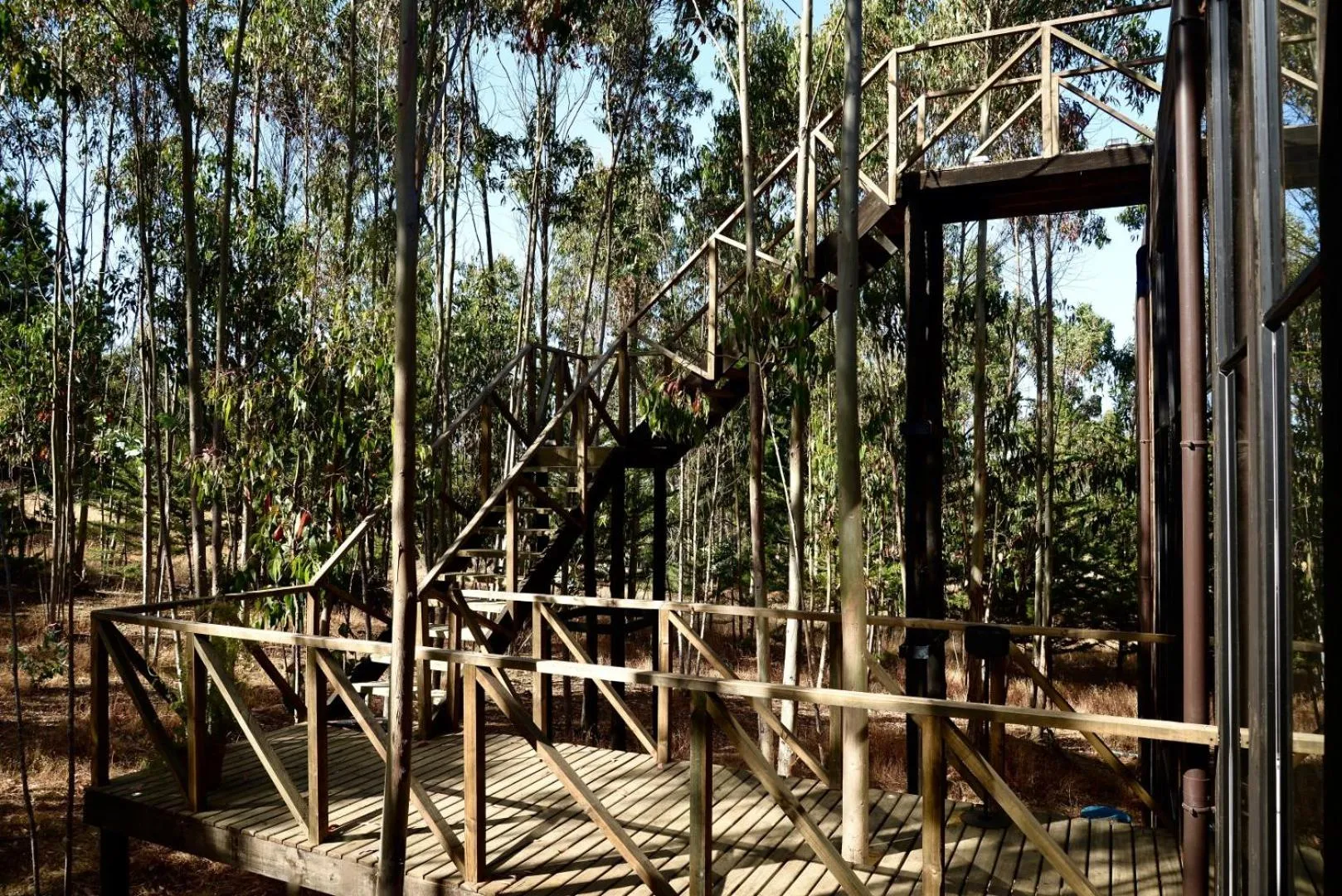Off site in Tripanko Lodge & Bungalows