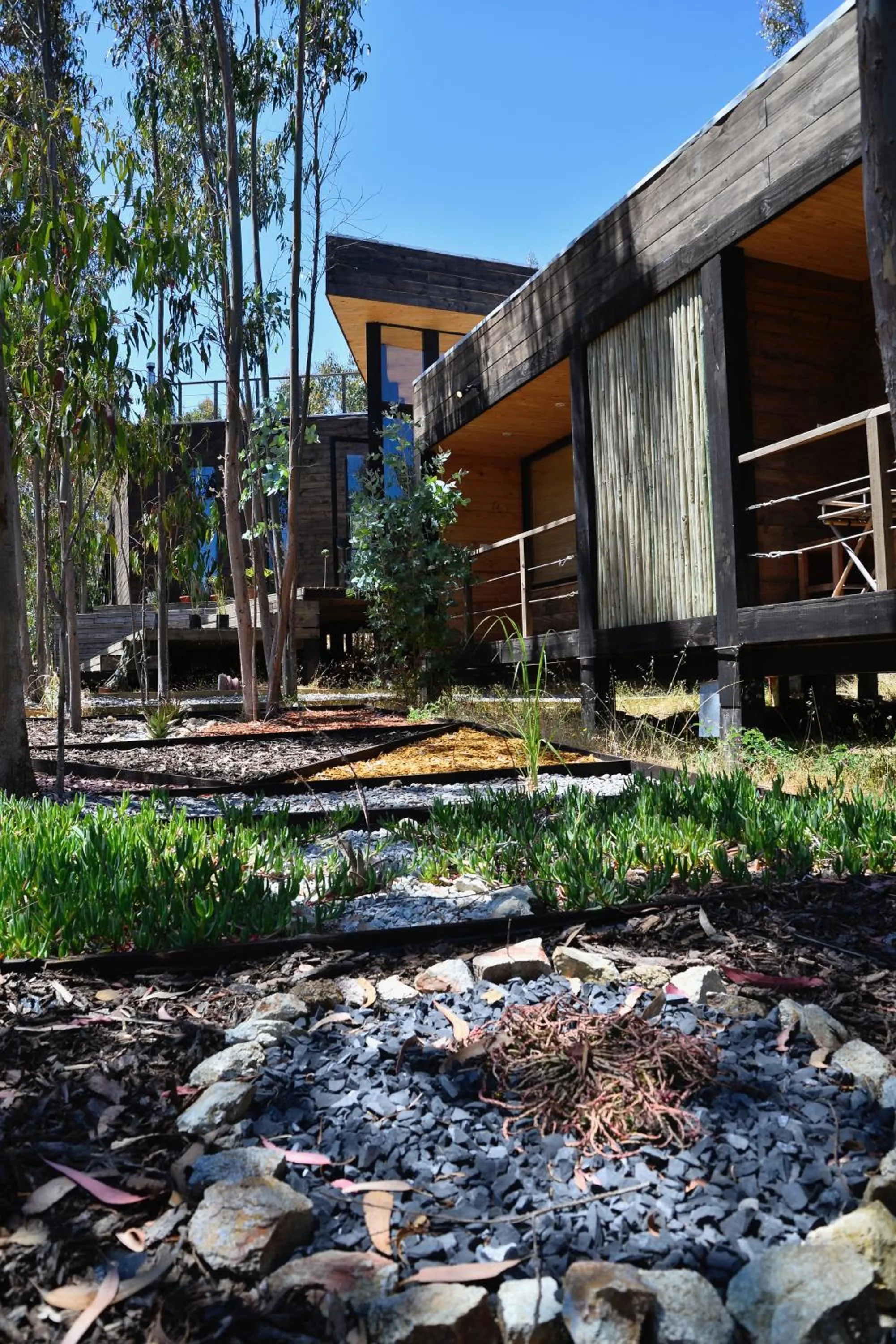 Property building in Tripanko Lodge & Bungalows