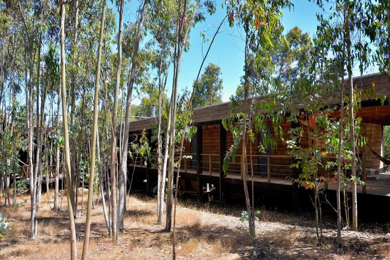 Patio in Tripanko Lodge & Bungalows