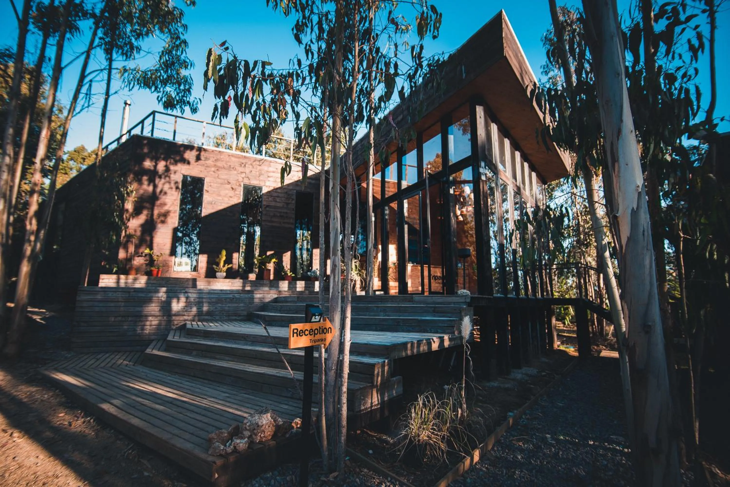 Facade/entrance in Tripanko Lodge & Bungalows