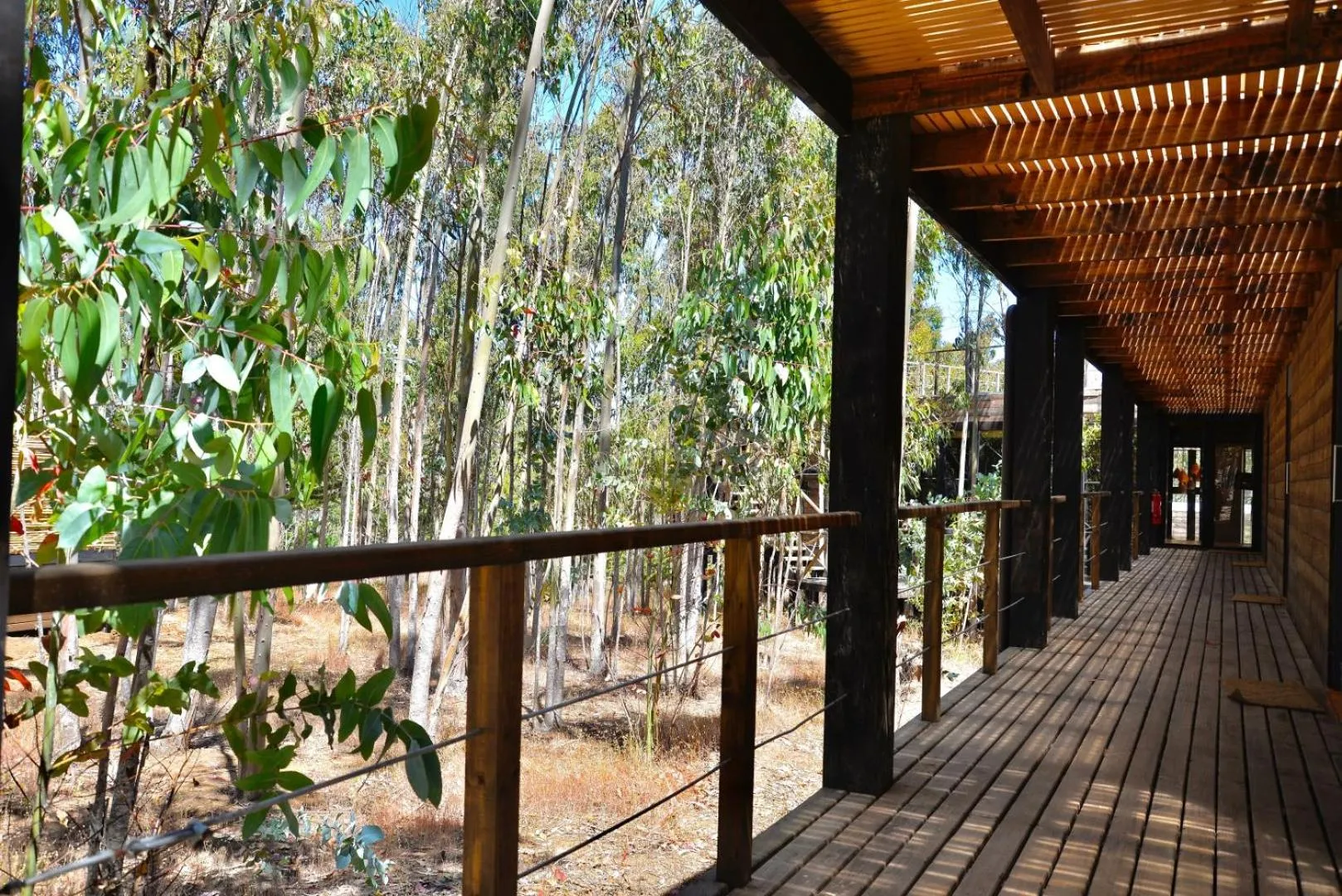 Patio in Tripanko Lodge & Bungalows