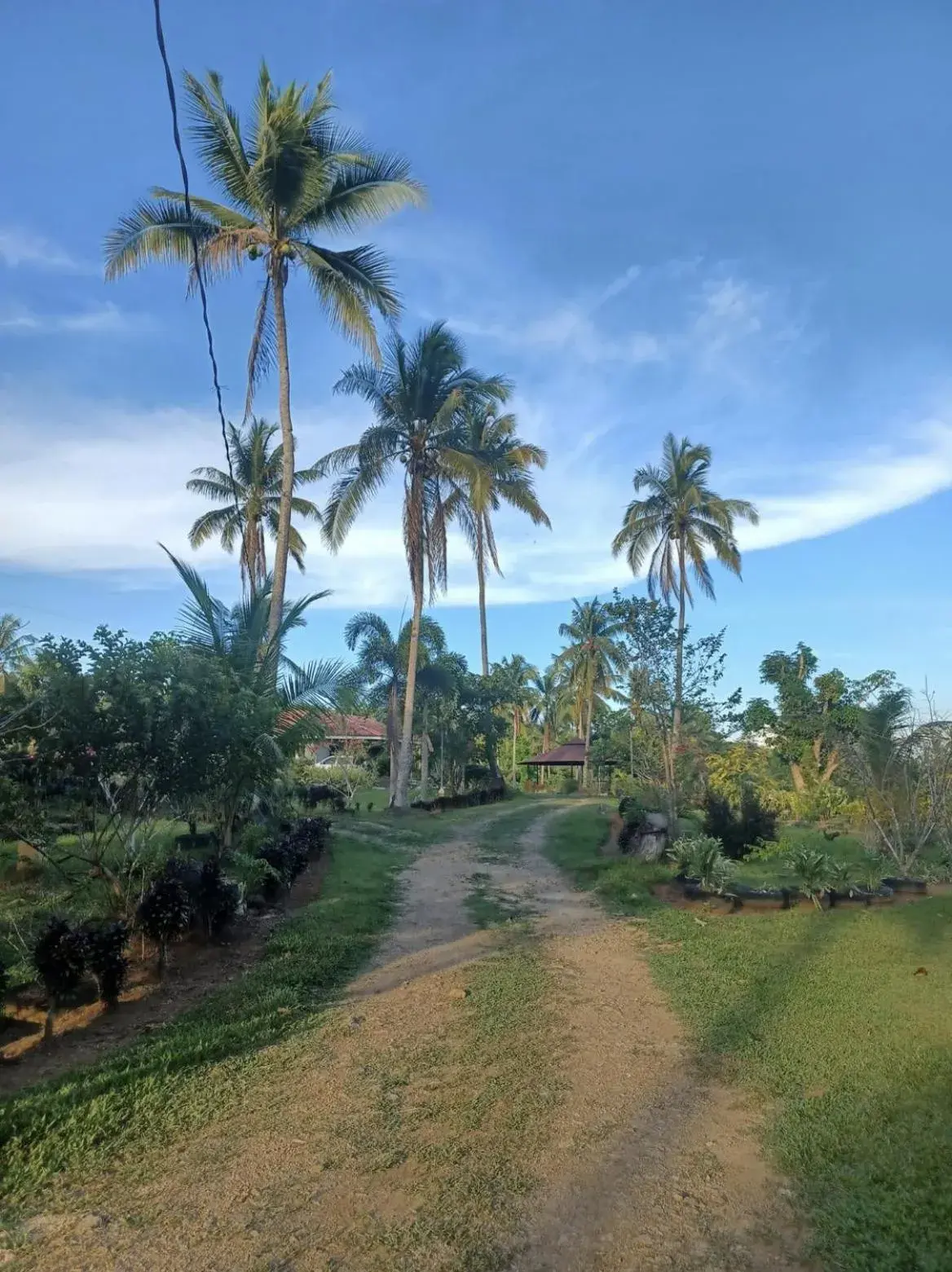 AsunEus Farm AsunEus Farm