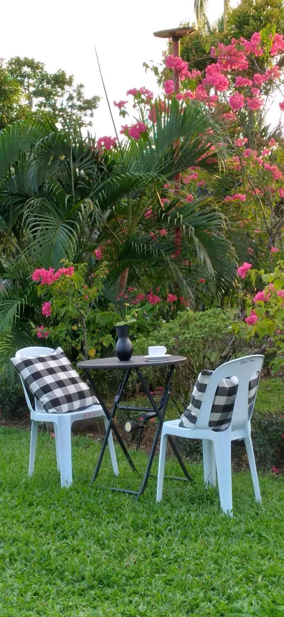 Garden in AsunEus Farm