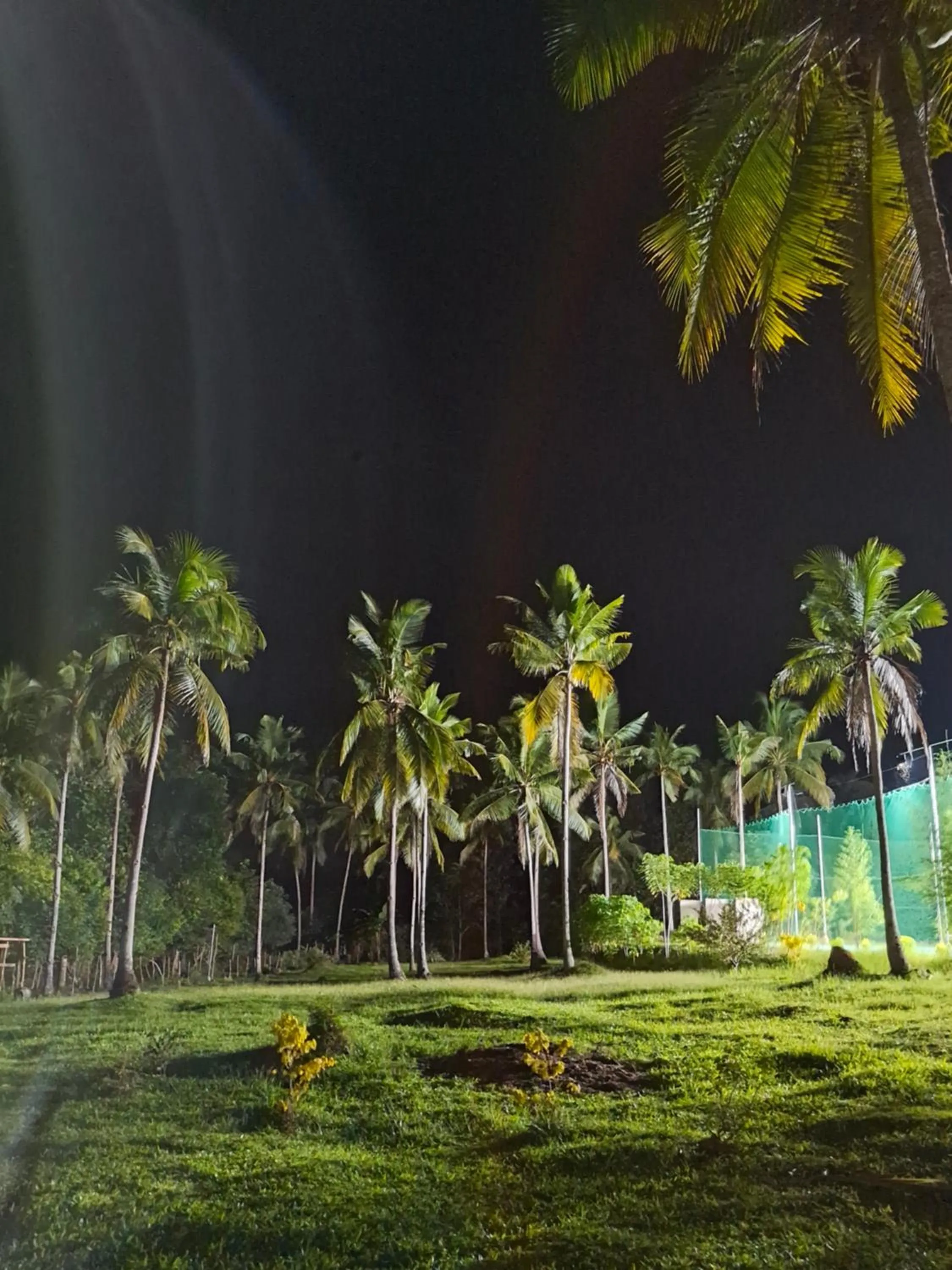 Garden in AsunEus Farm