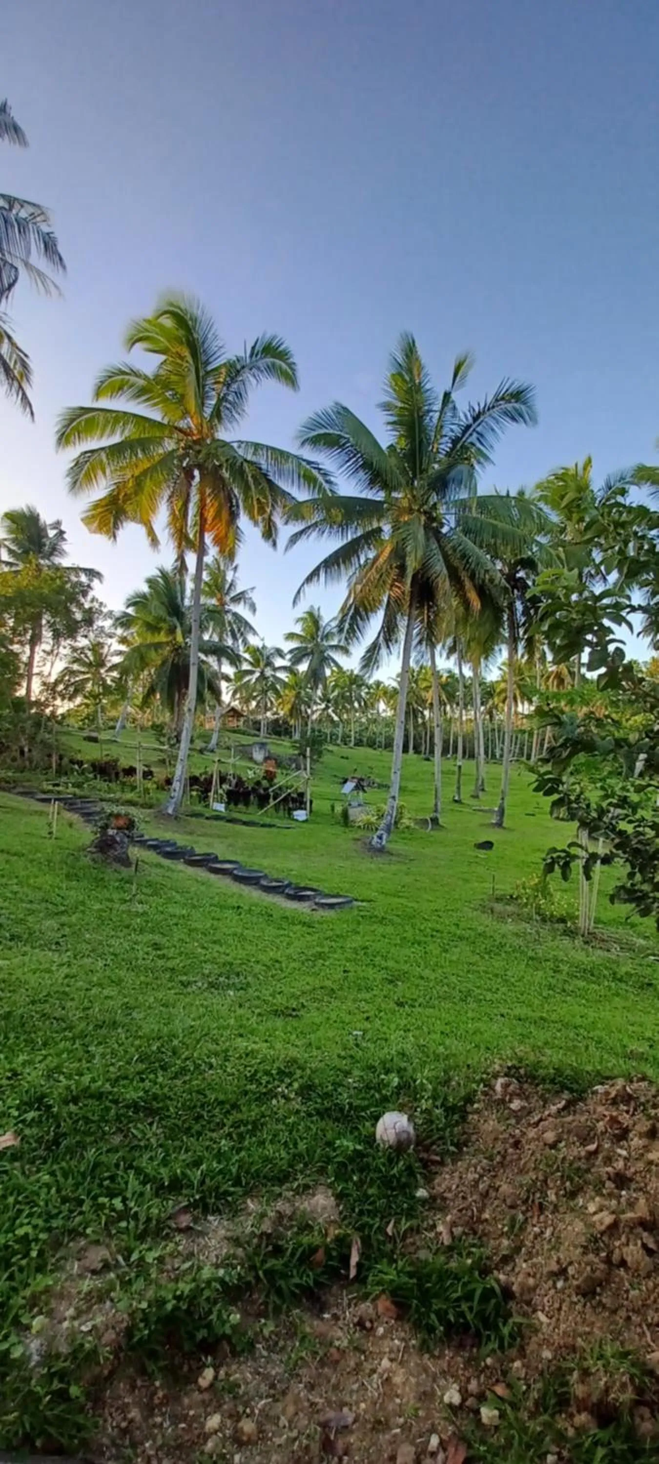 AsunEus Farm