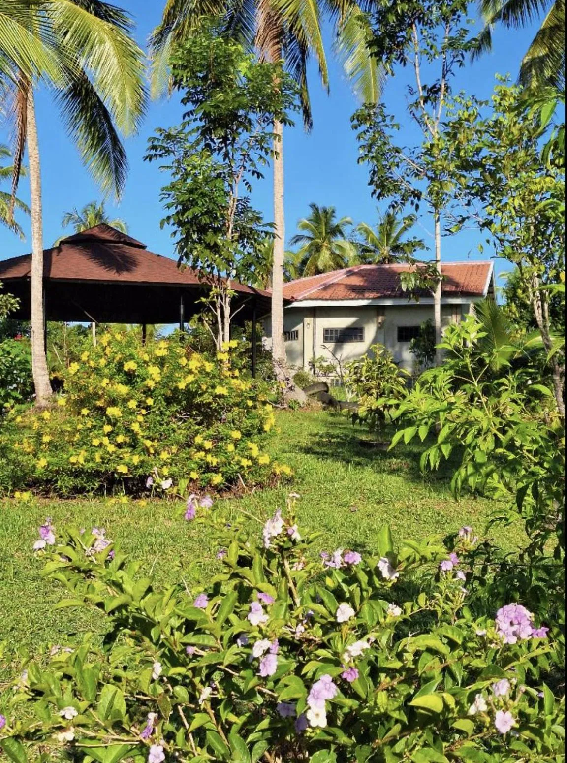 Garden in AsunEus Farm