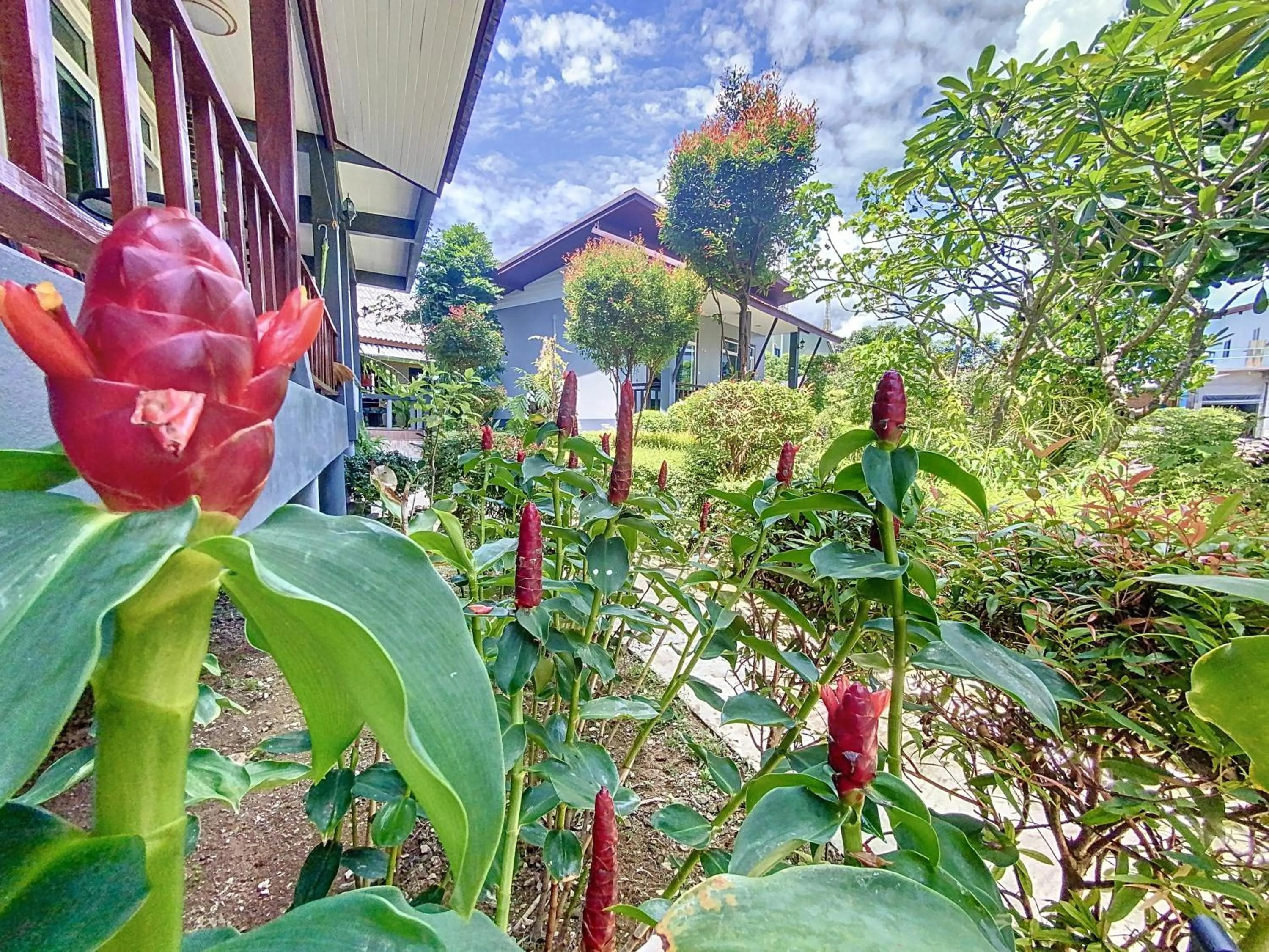Garden in Sunanta Bungalow