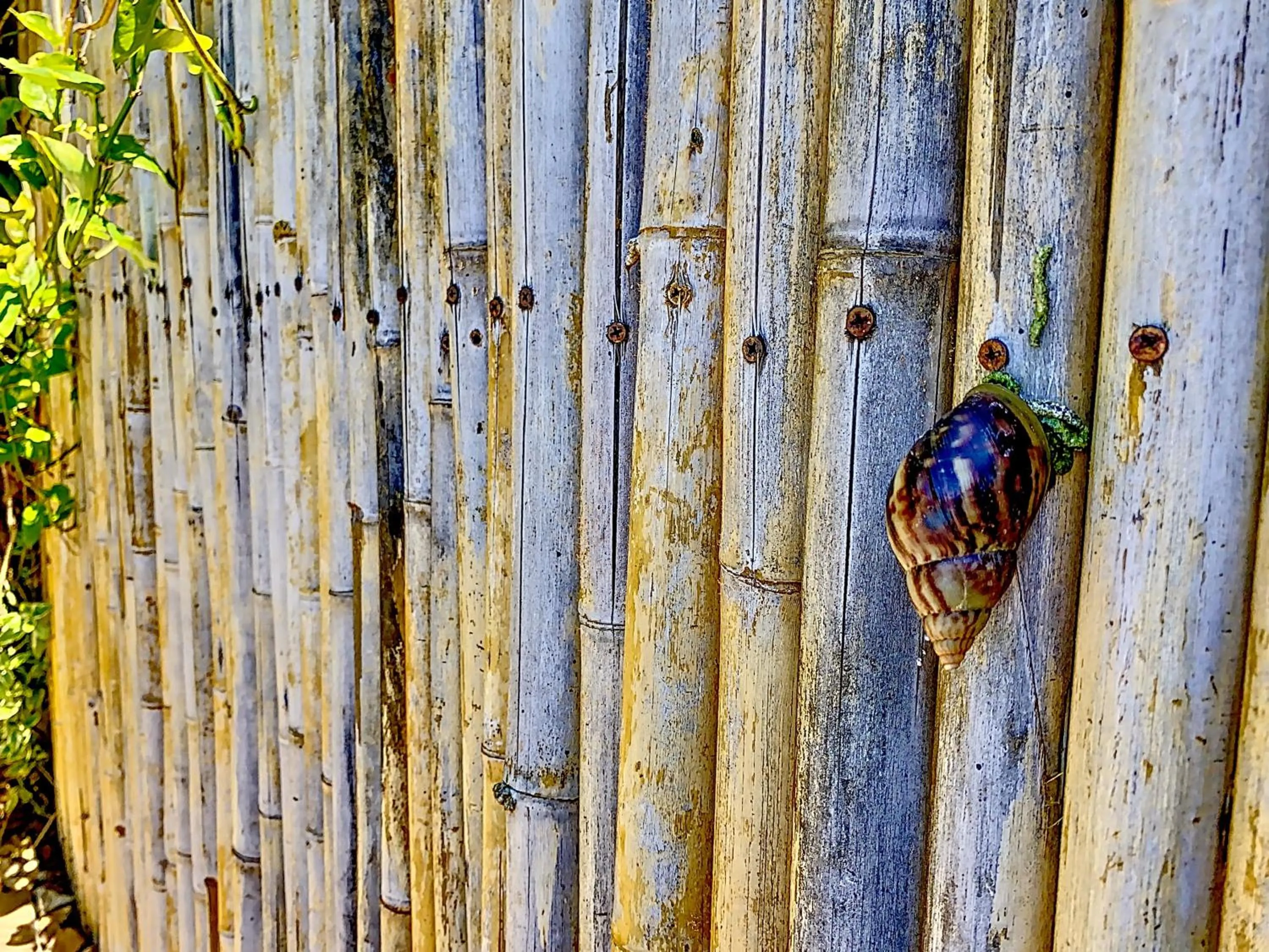 Day in Sunanta Bungalow