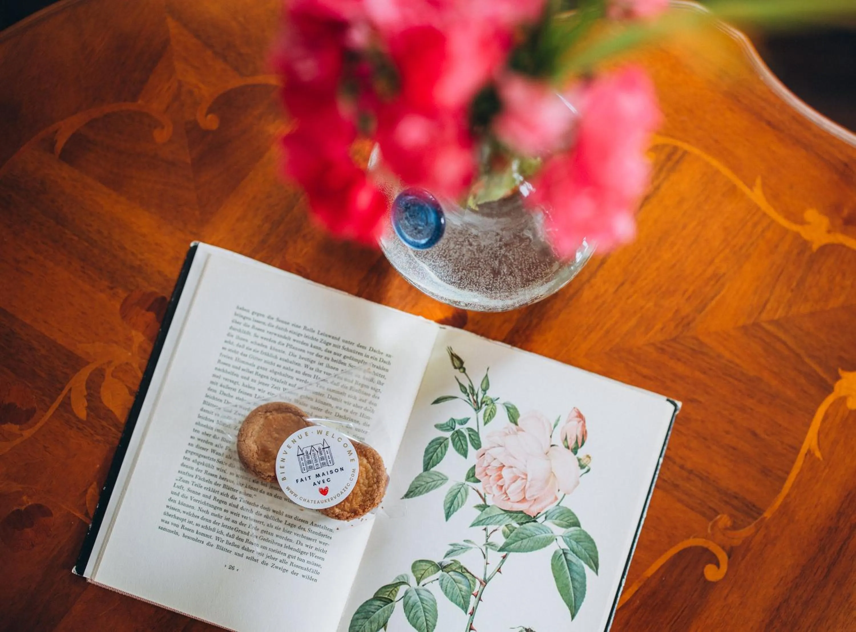Decorative detail in Château de KERVOAZEC - Chambres d'hôtes