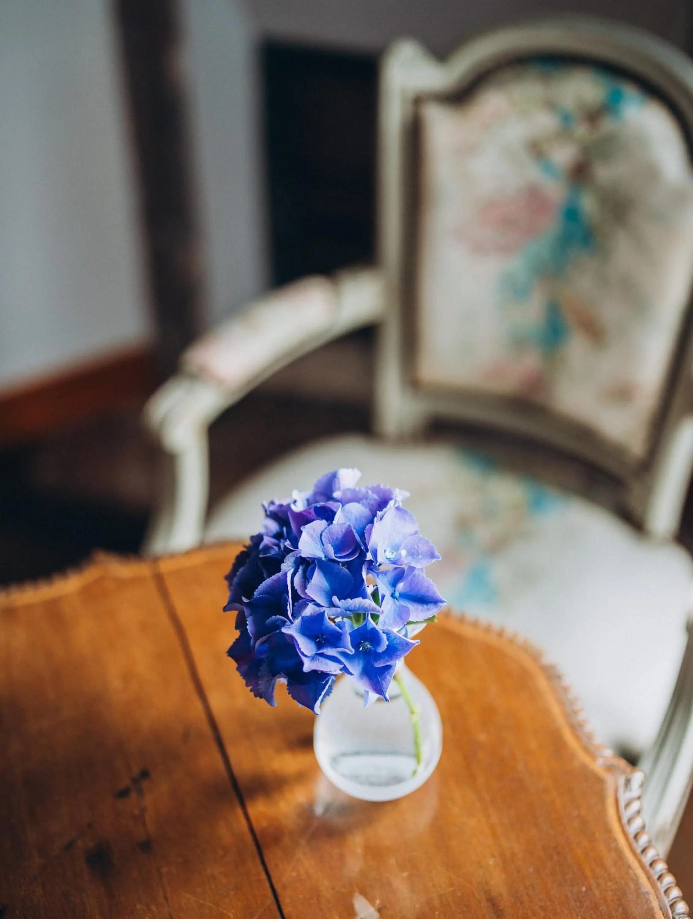 Château de KERVOAZEC - Chambres d'hôtes