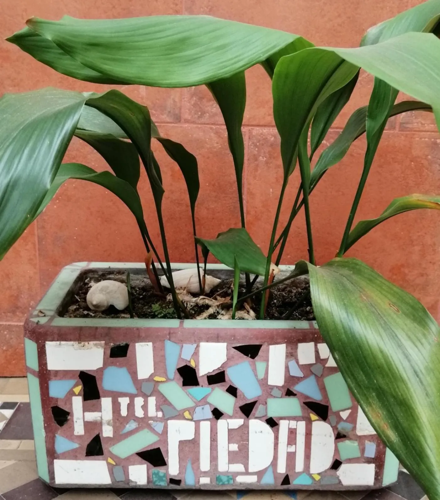 Hotel La Piedad