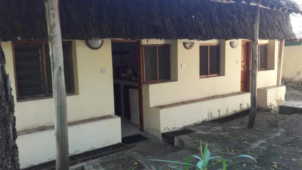 The New Big Tree Beach Resort