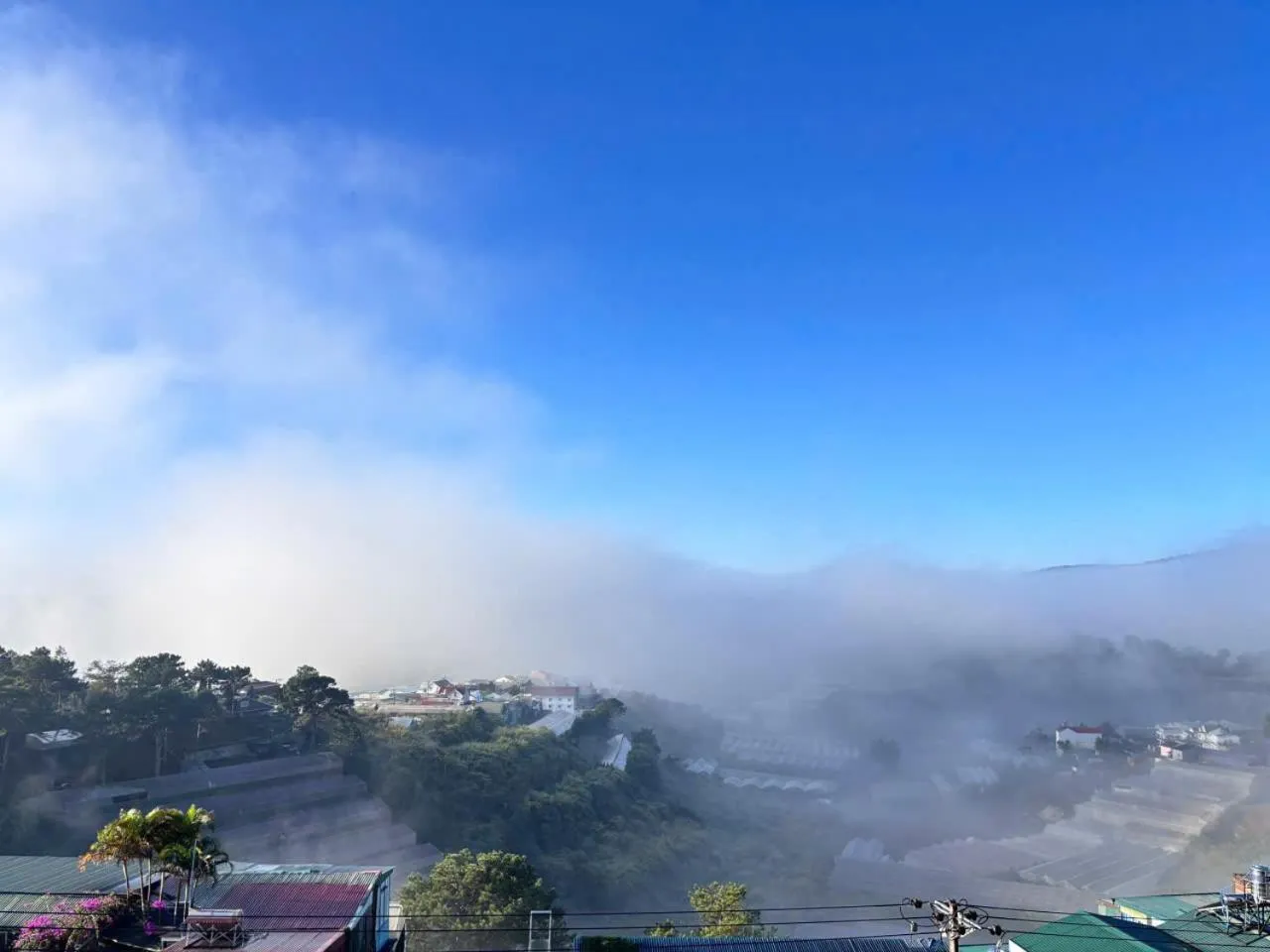 Day in Nhà An Đà Lạt 3