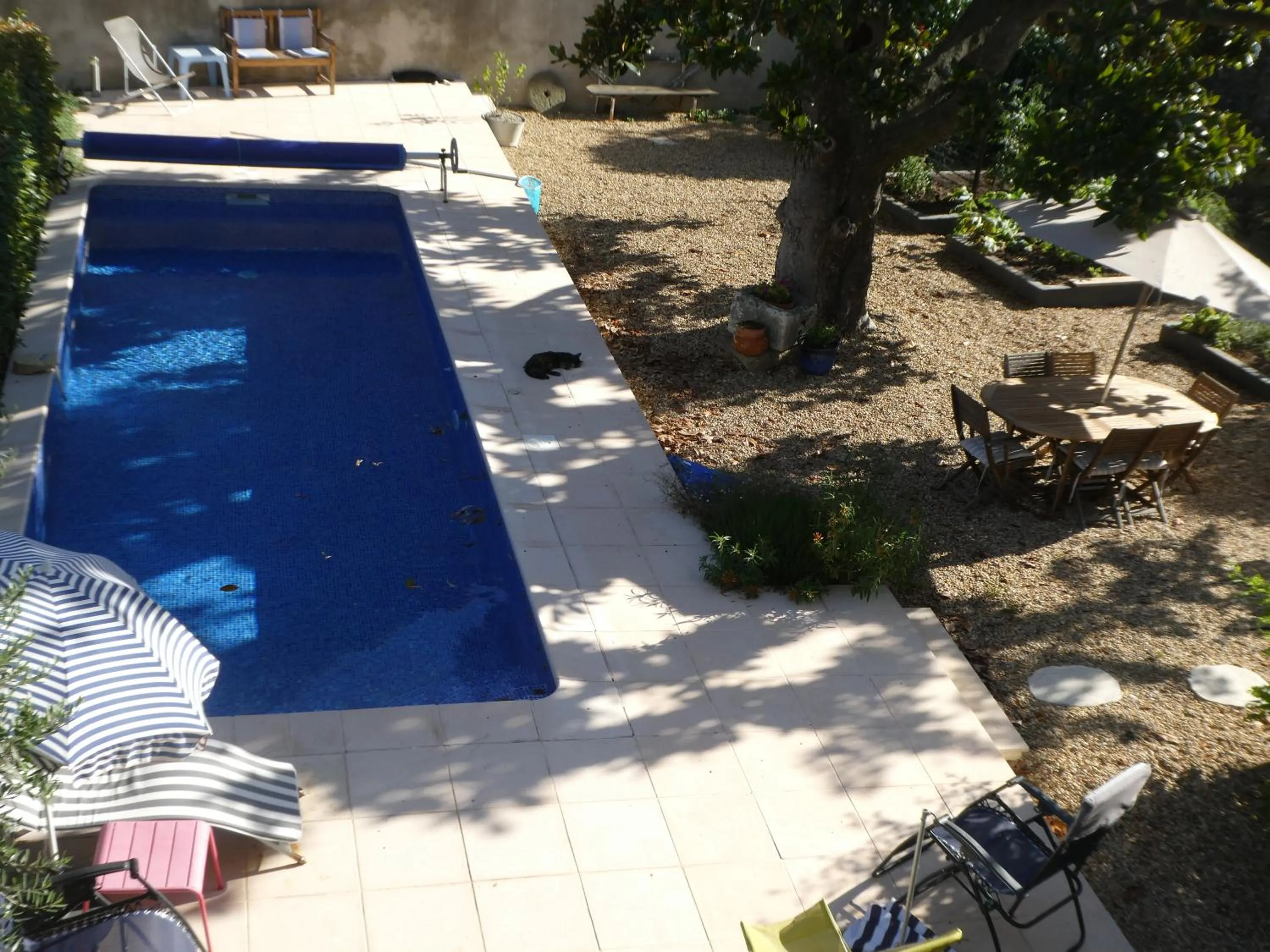 Swimming pool in Clos du Magnolia