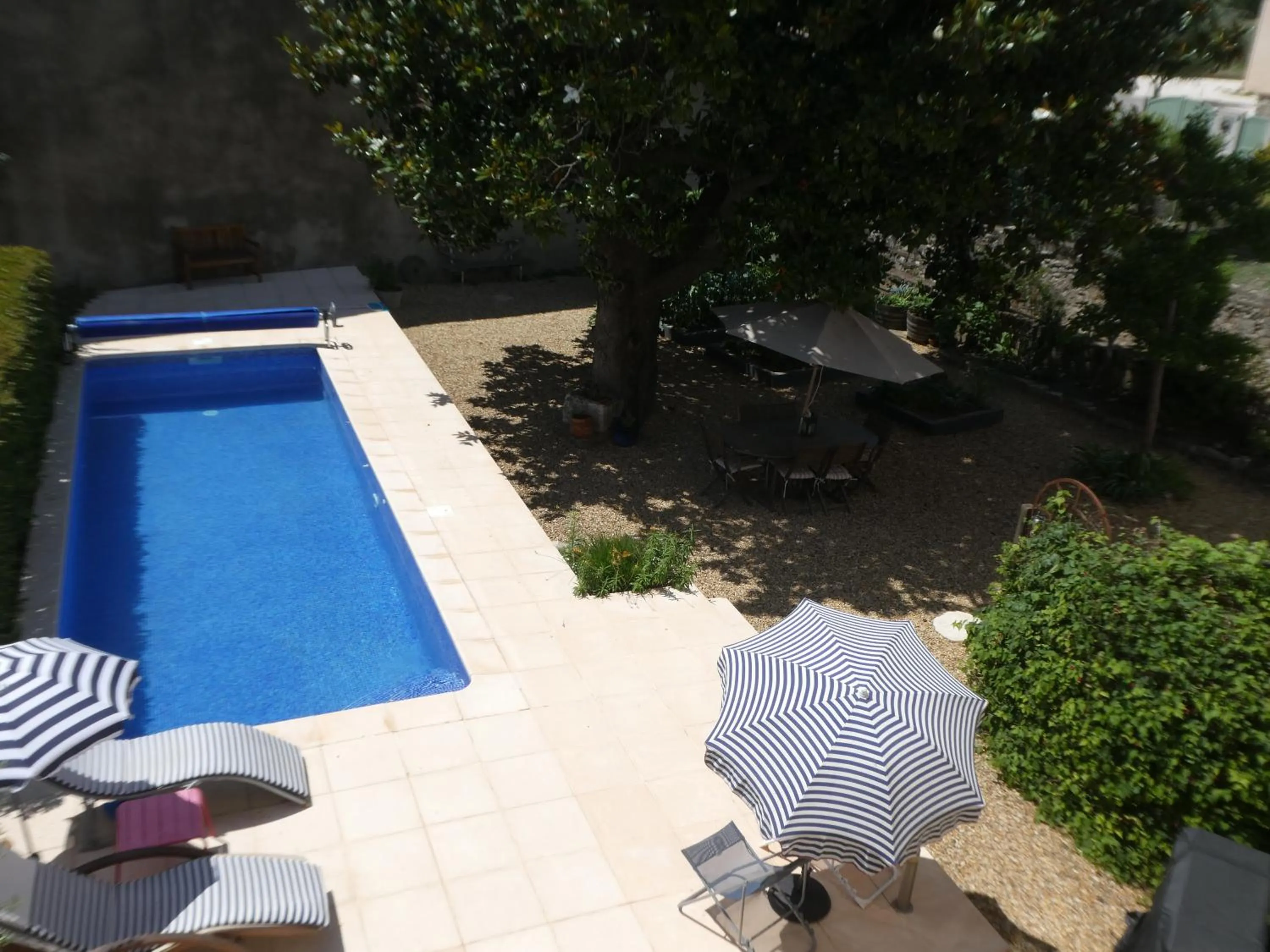 Summer in Clos du Magnolia