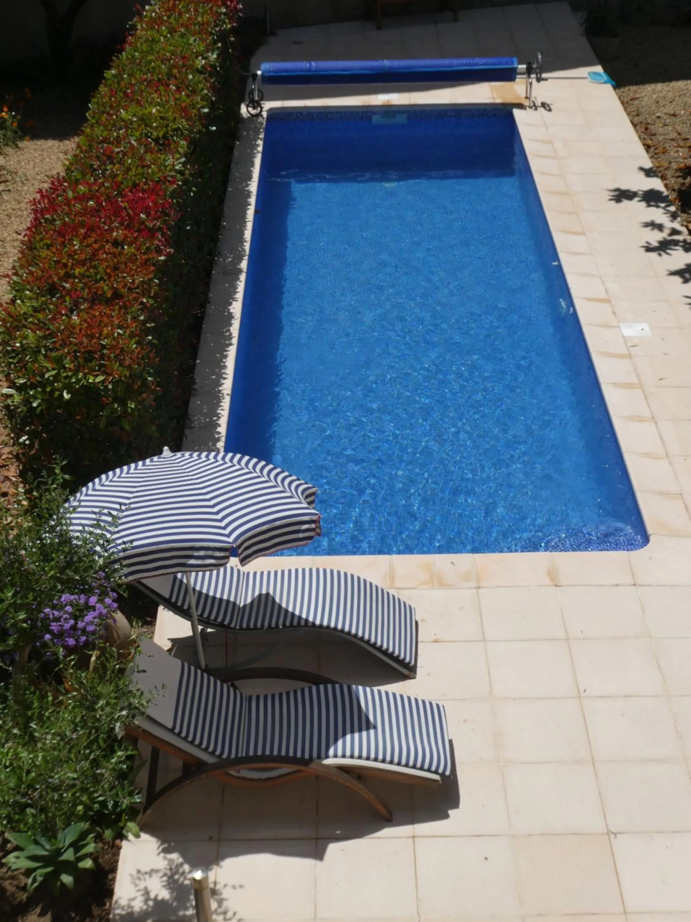 Summer in Clos du Magnolia