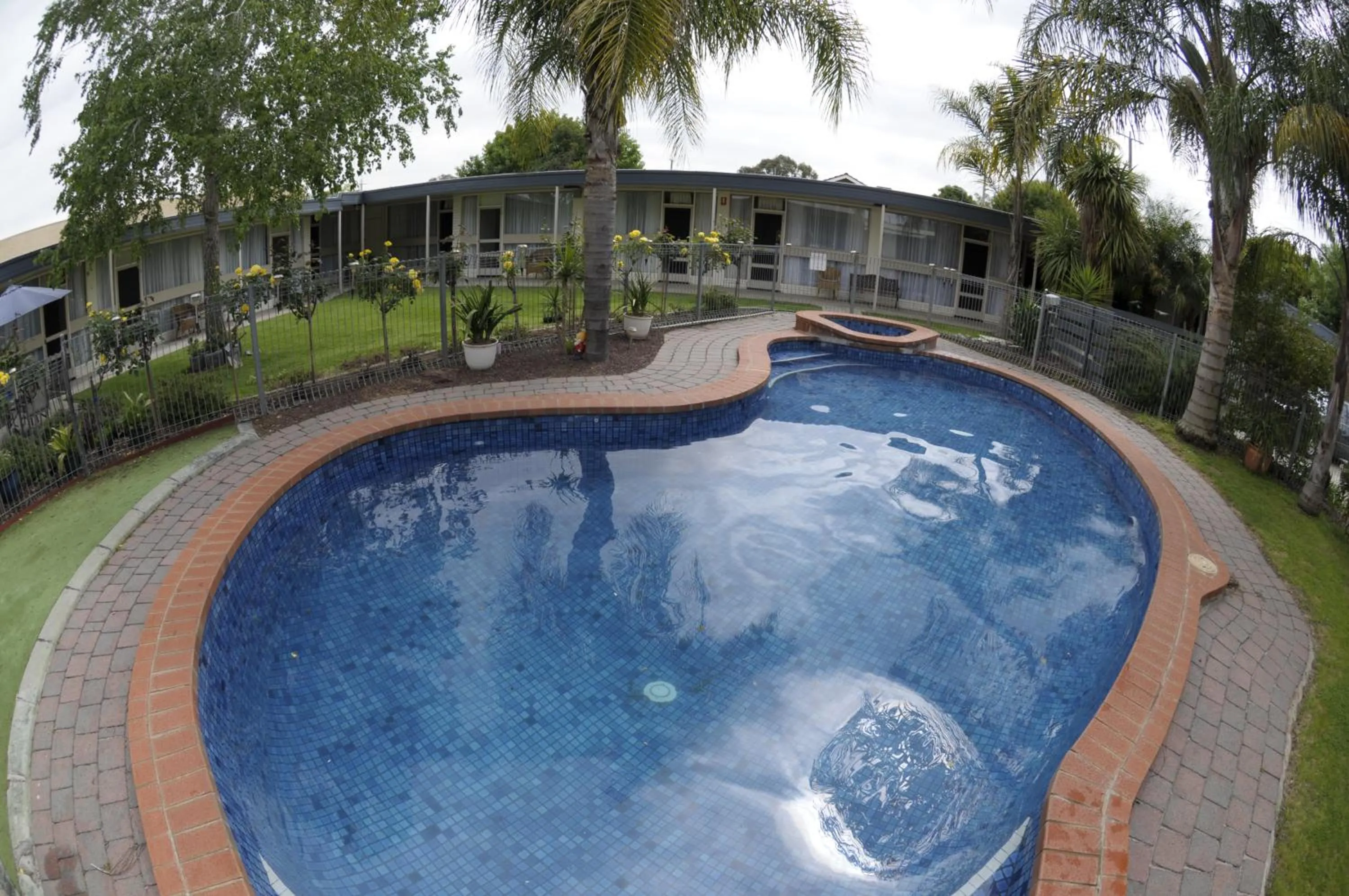 Pool view in Warrina Inn Wodonga CBD