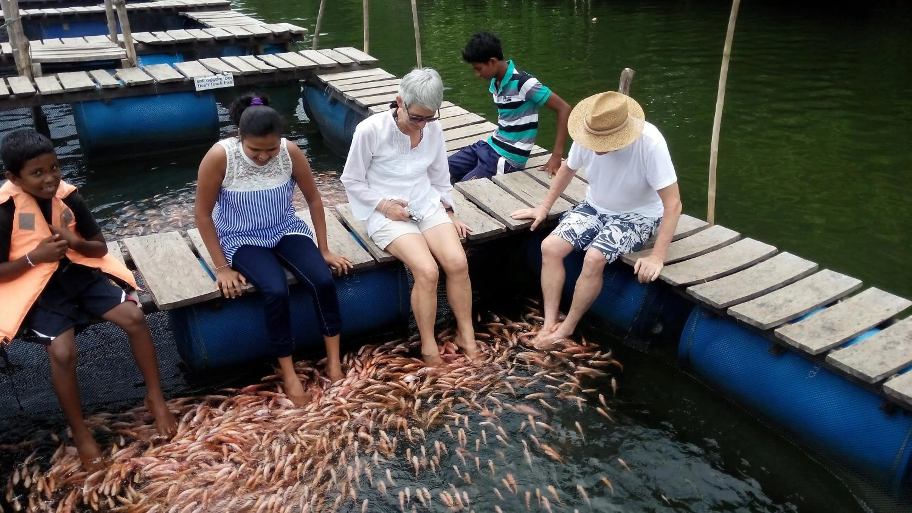Animals in Happy Man Village