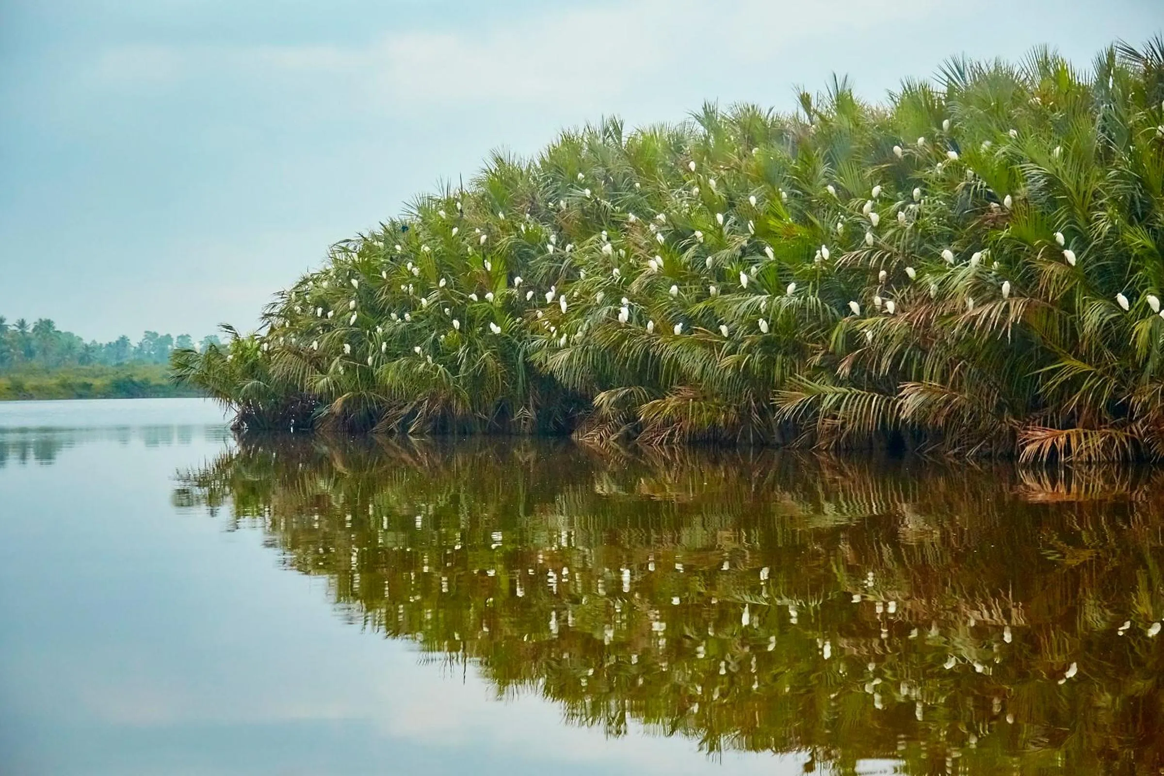 Natural landscape in Happy Man Village