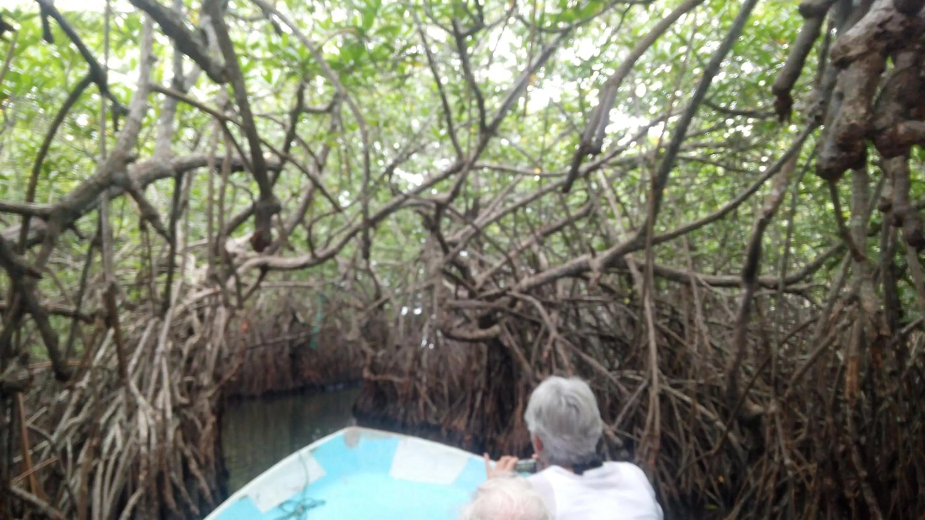 Natural landscape in Happy Man Village