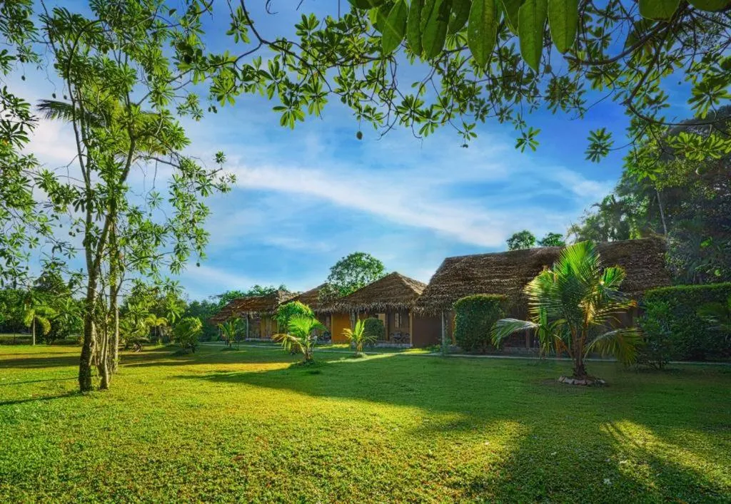Property building in Happy Man Village