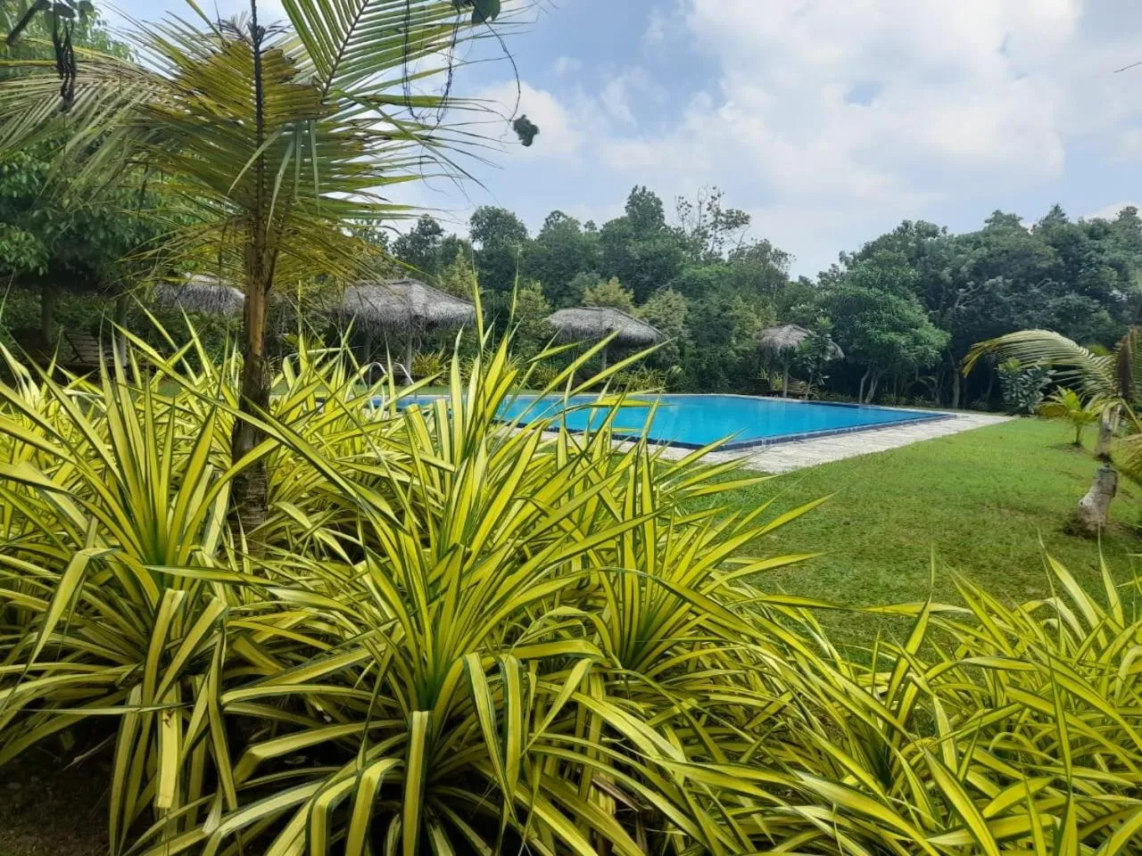 Pool view in Happy Man Village