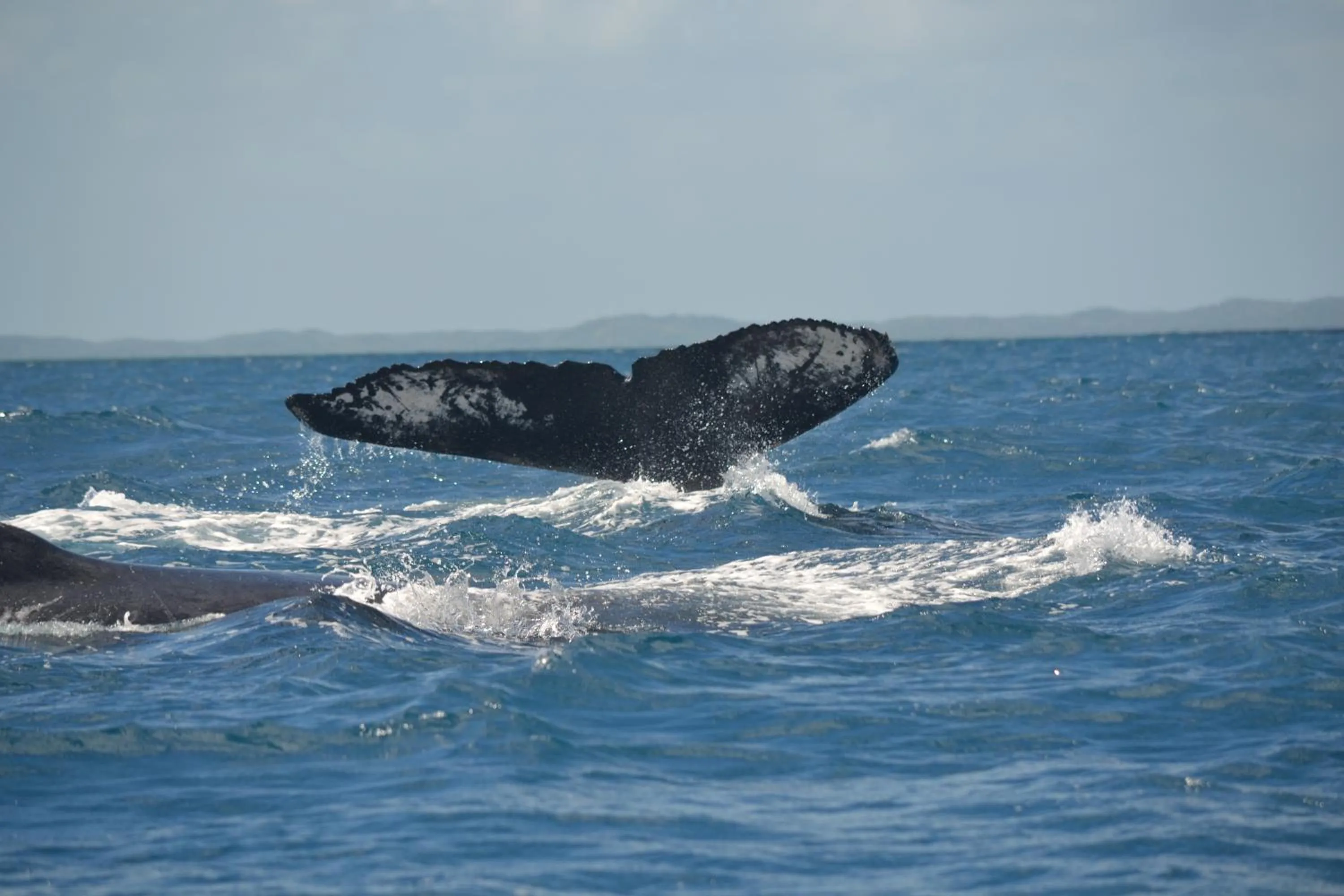 Day in Natiora Green Lodge