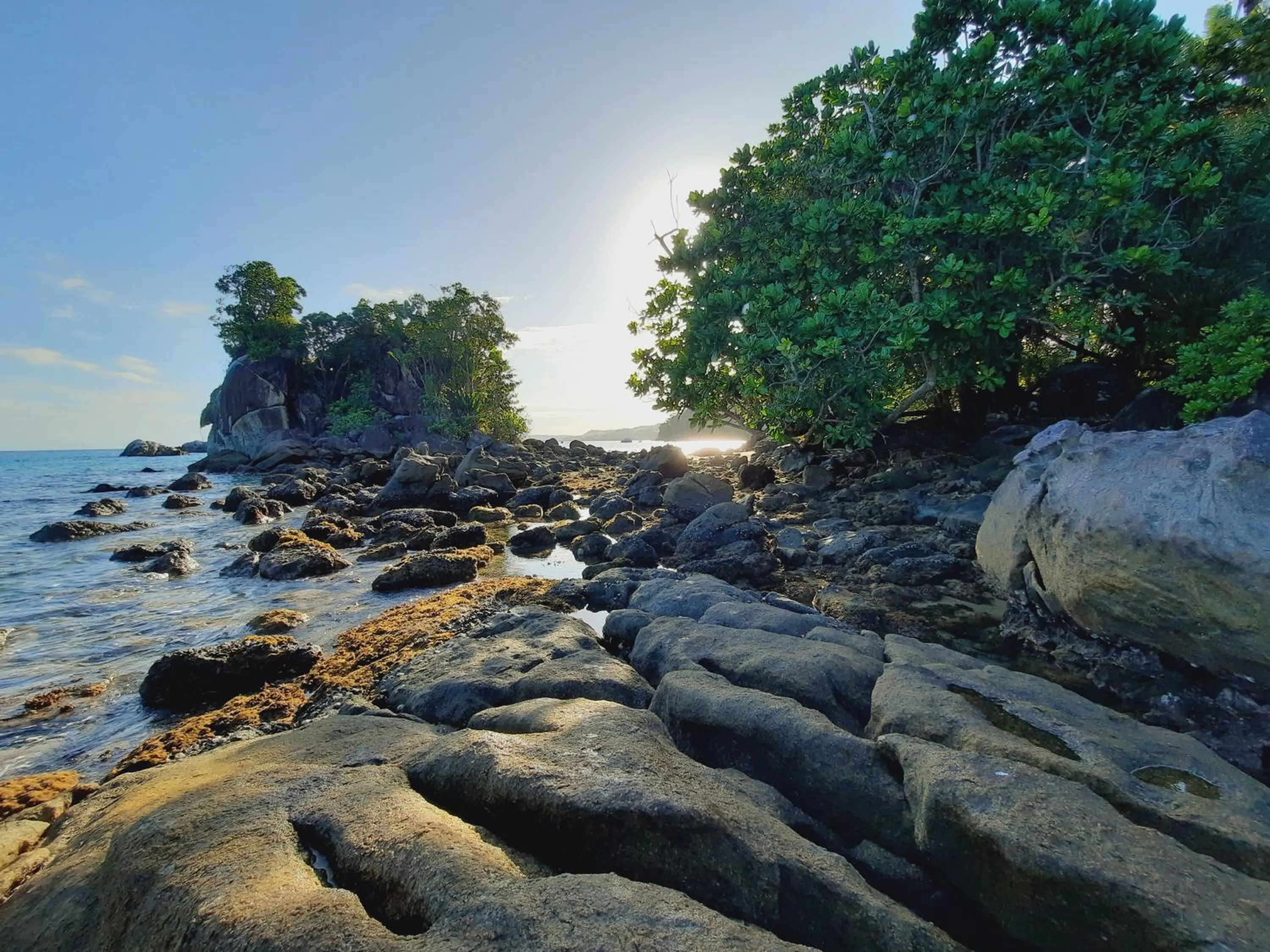 Natural landscape in Natiora Green Lodge