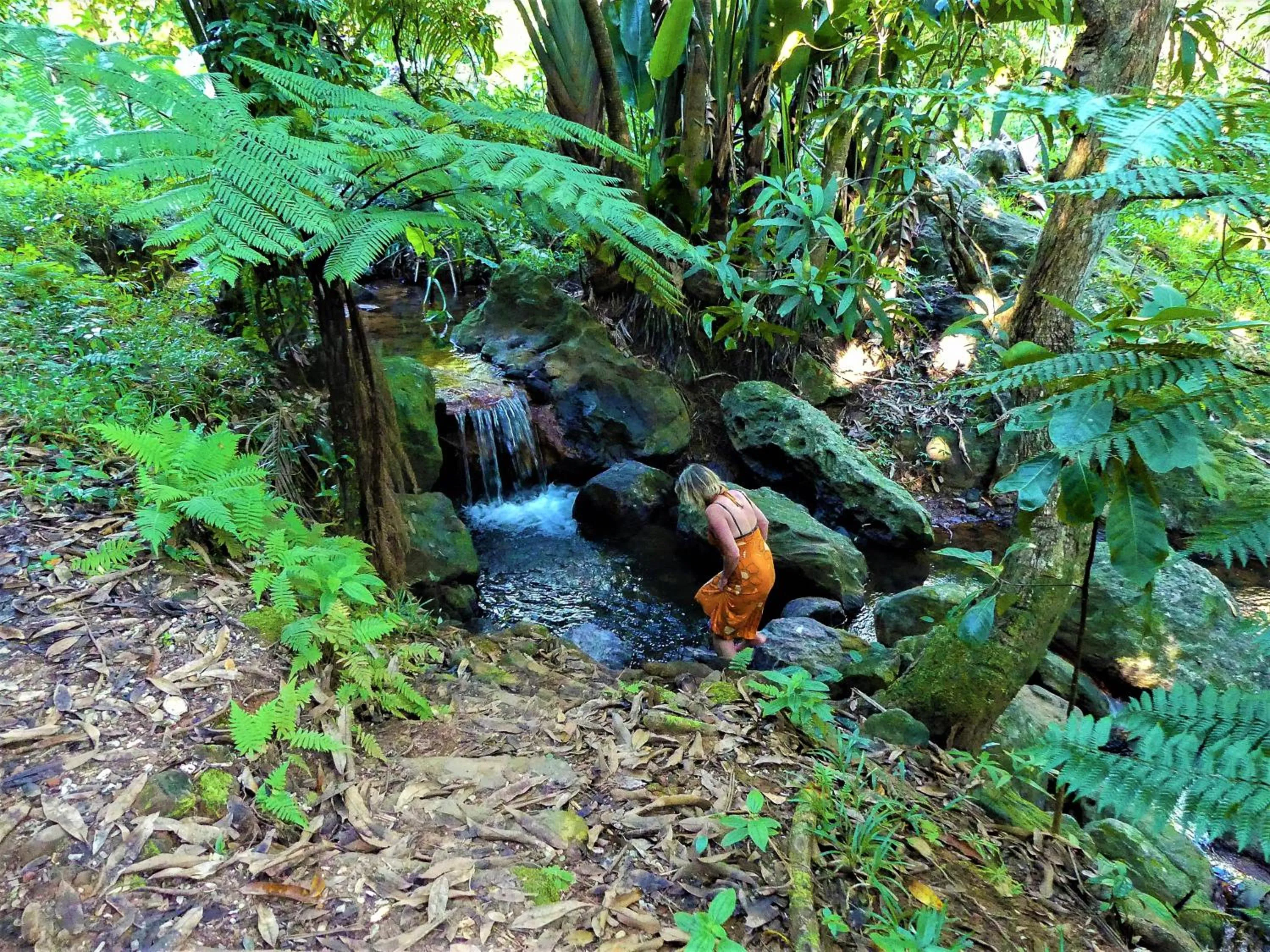 Natural landscape in Natiora Green Lodge