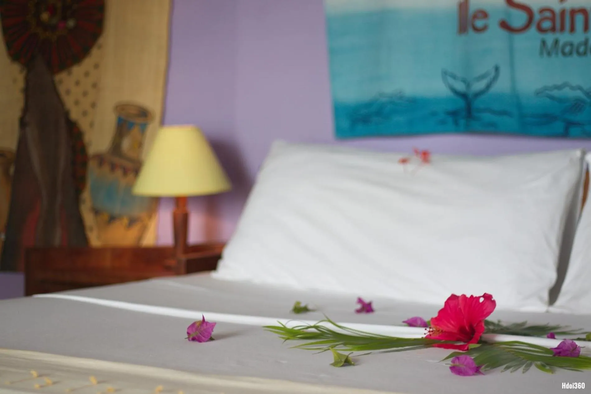 Family Bungalow in Natiora Green Lodge