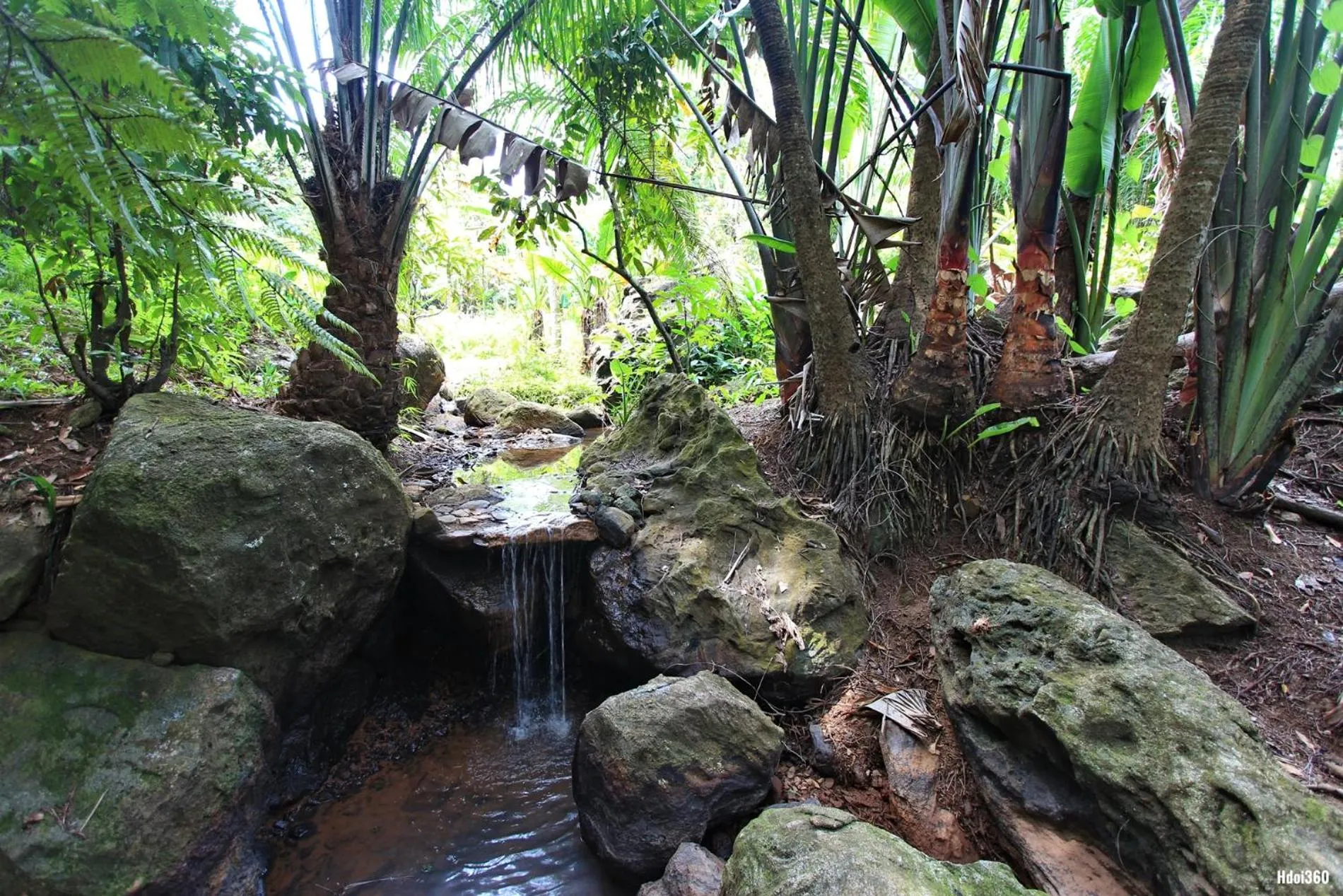 Public Bath in Natiora Green Lodge