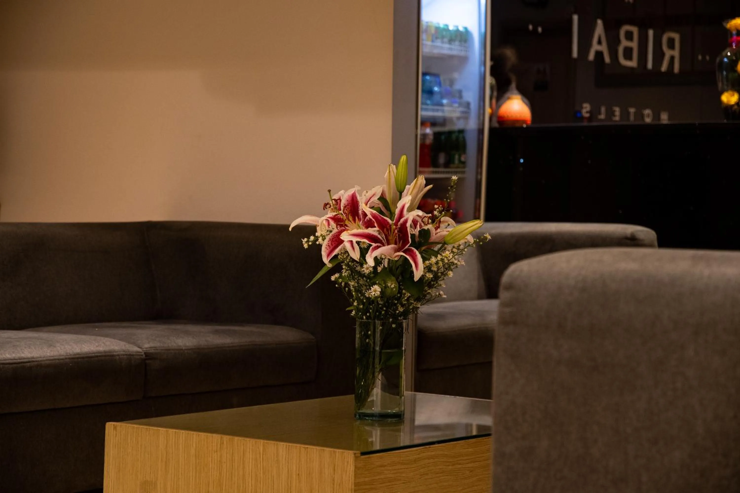 Lobby or reception in Ribai Hotels Santa Marta