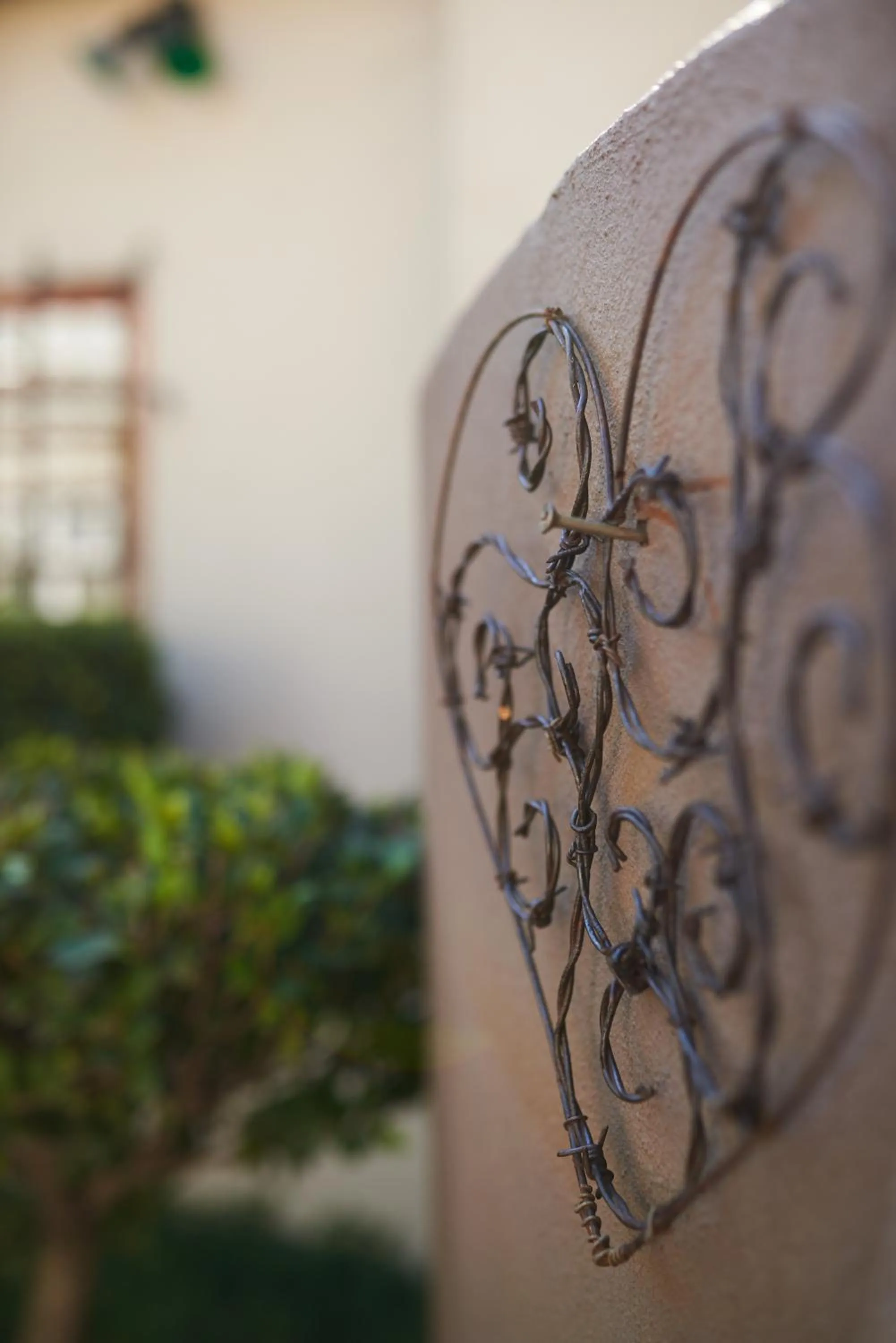 Garden in 84 on Fourth Guest House