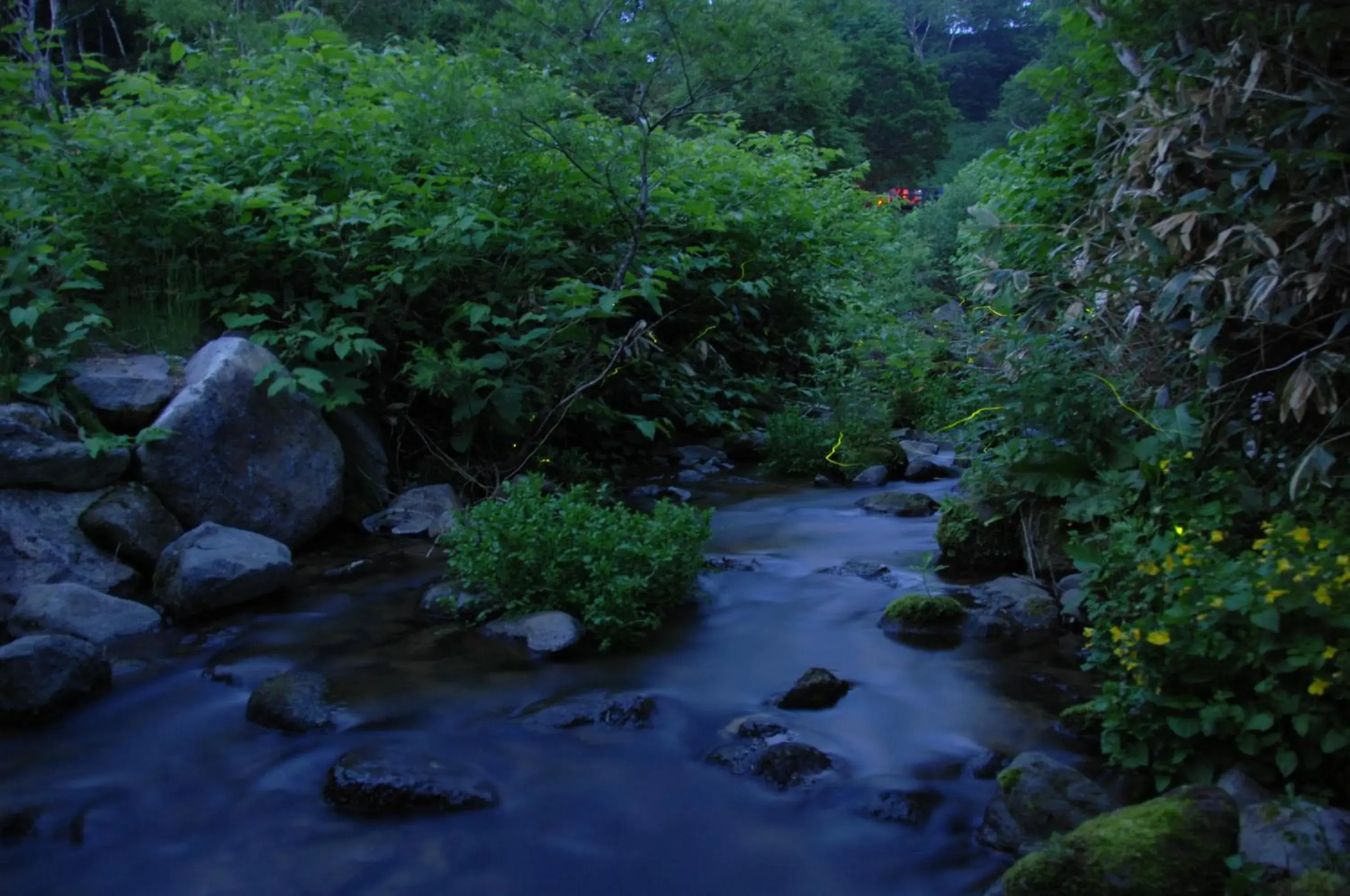 Nearby landmark, Natural Landscape in Kumanoyu Hotel