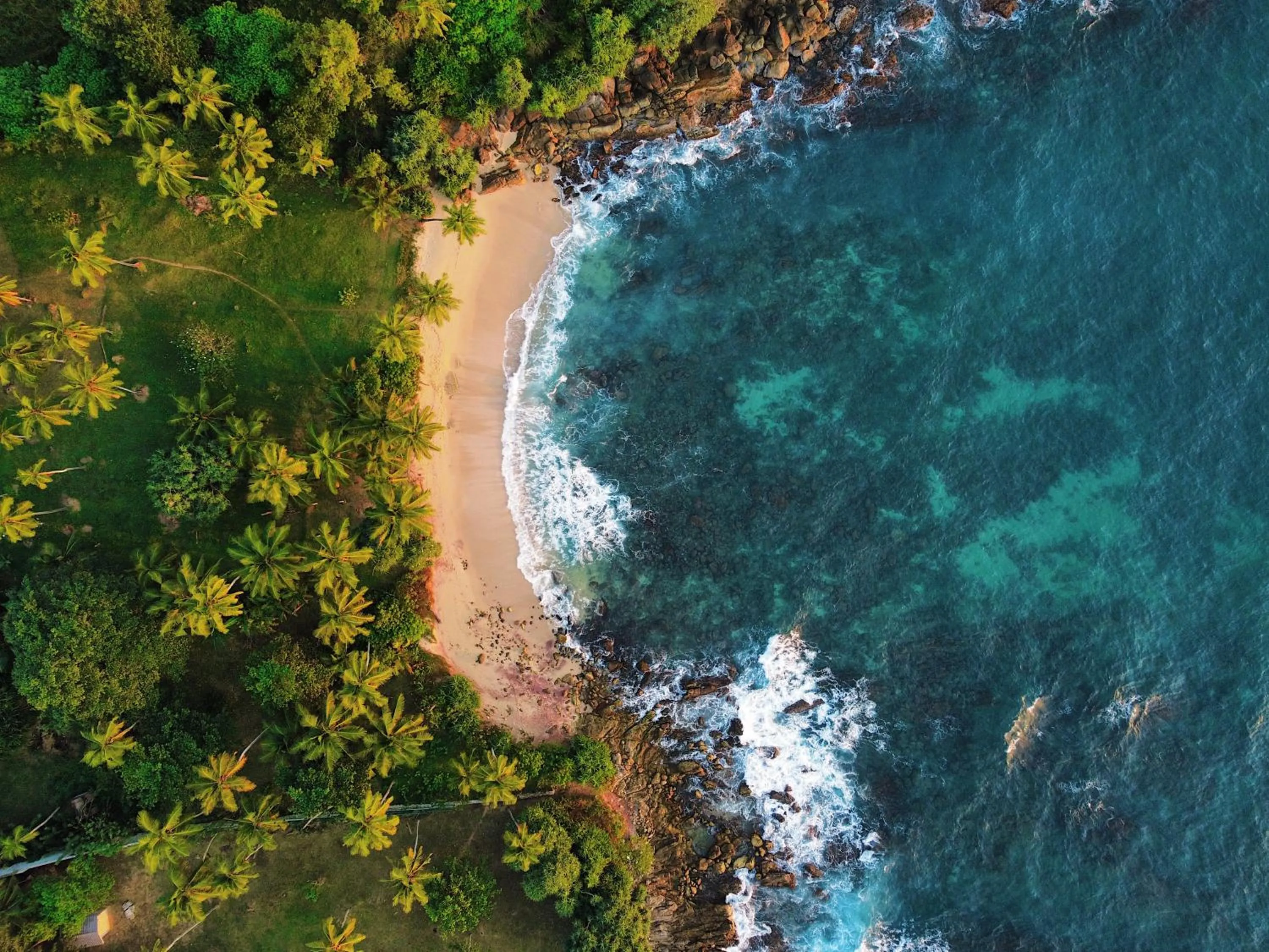 Bird's eye view in Little Tamarind