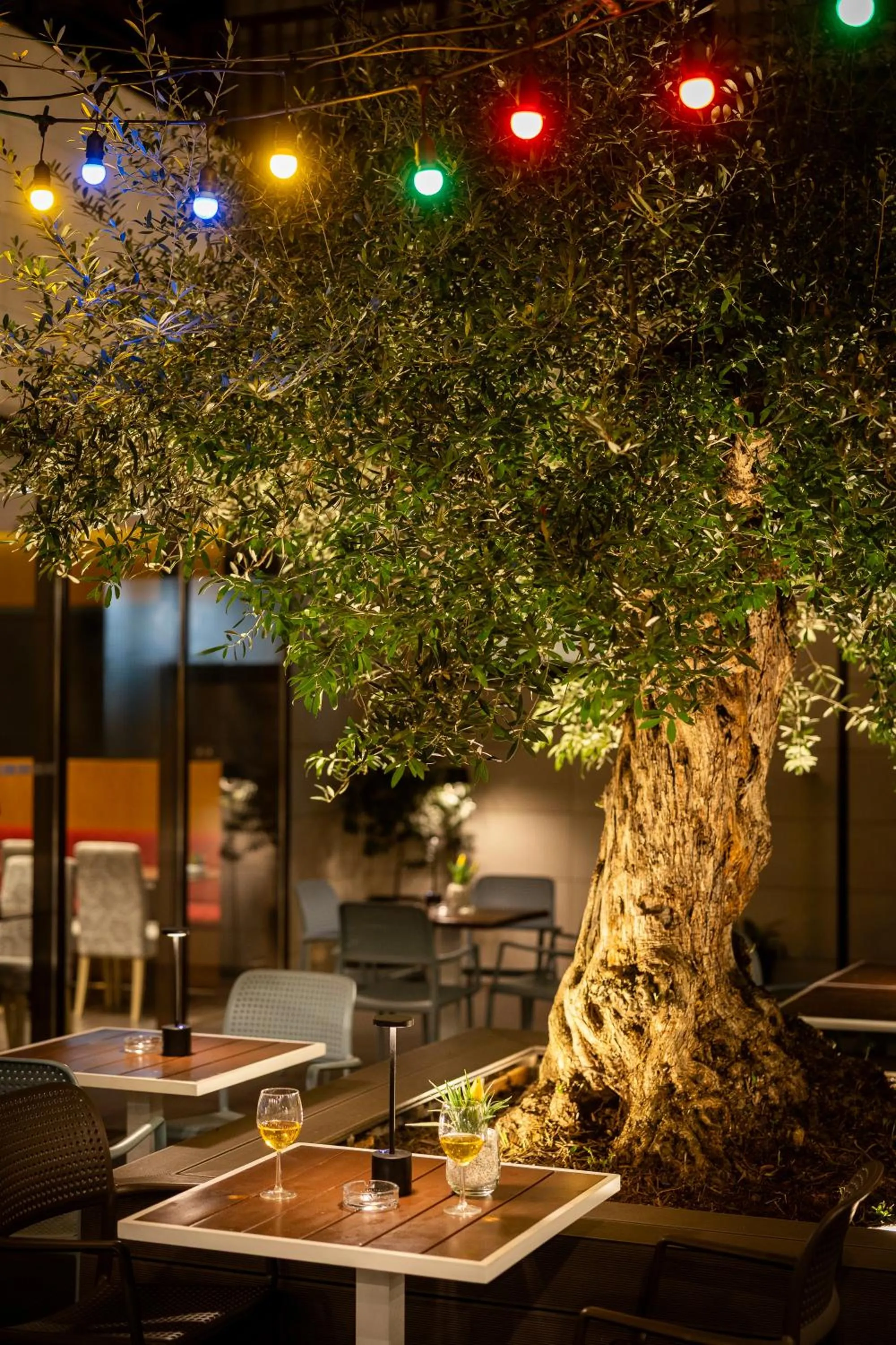 Restaurant/places to eat in Nobel Palace Hotel