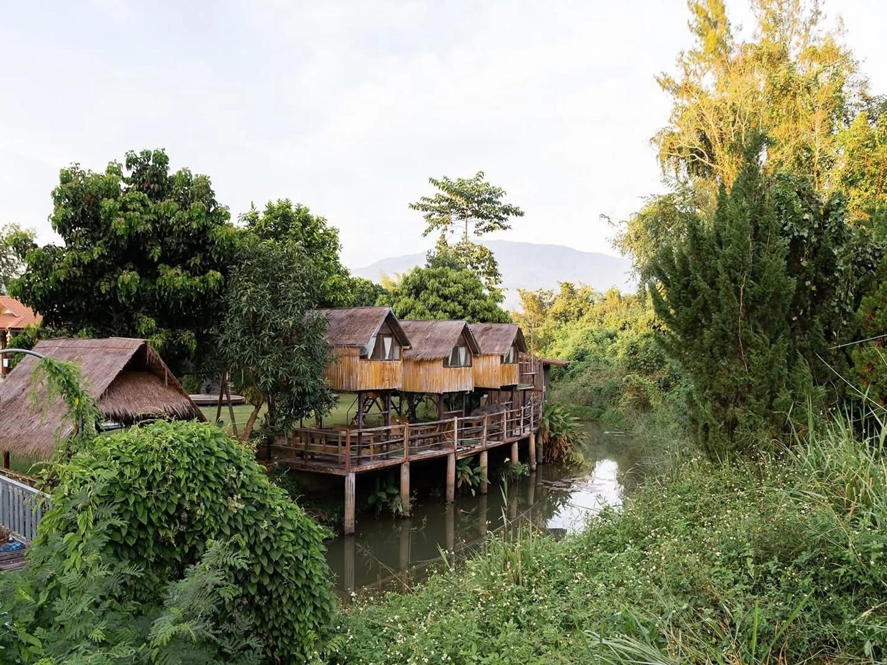 Property building in Lion Cafe Resort