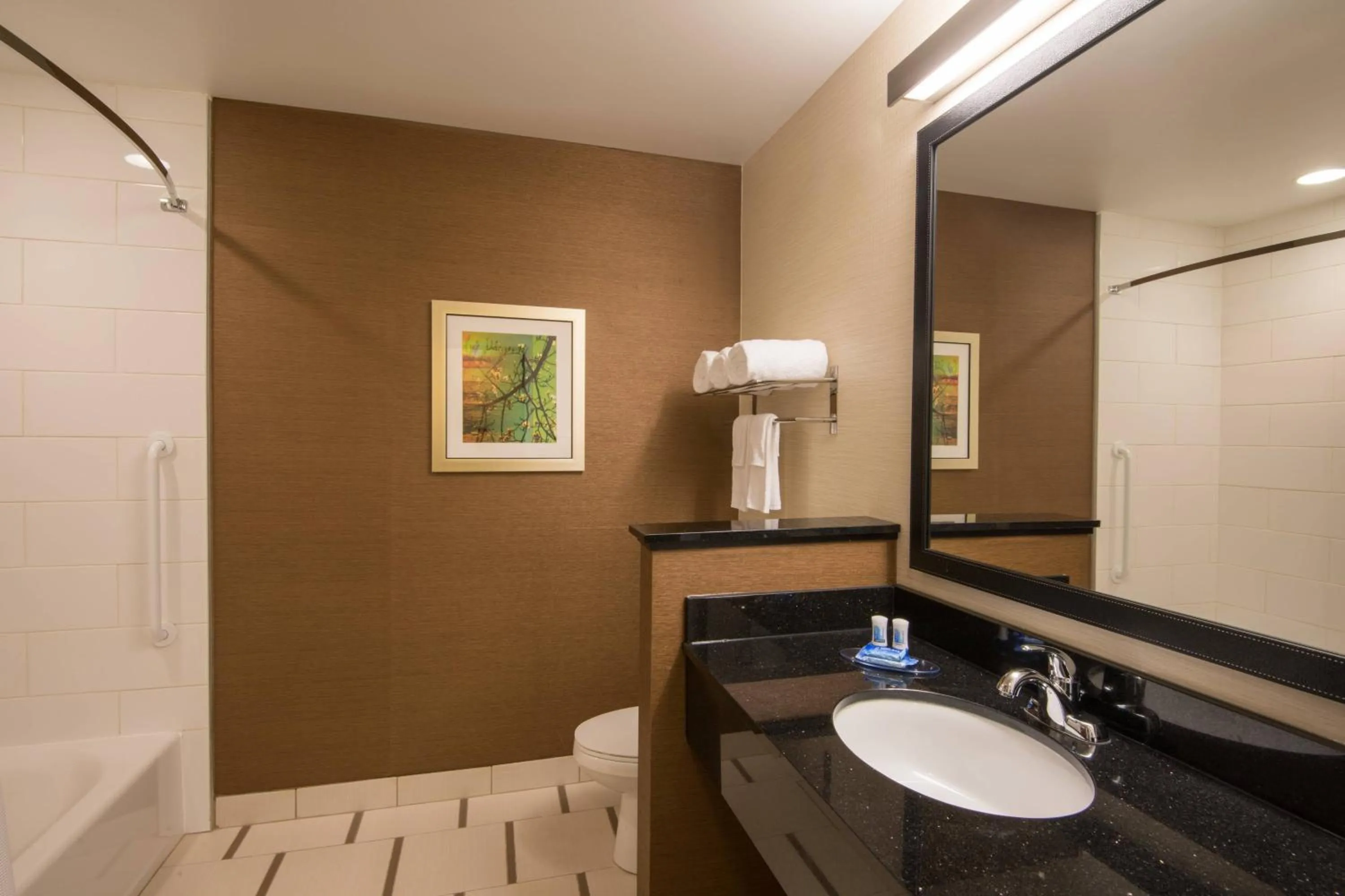 Bathroom in Fairfield Inn & Suites by Marriott Fort Wayne Southwest