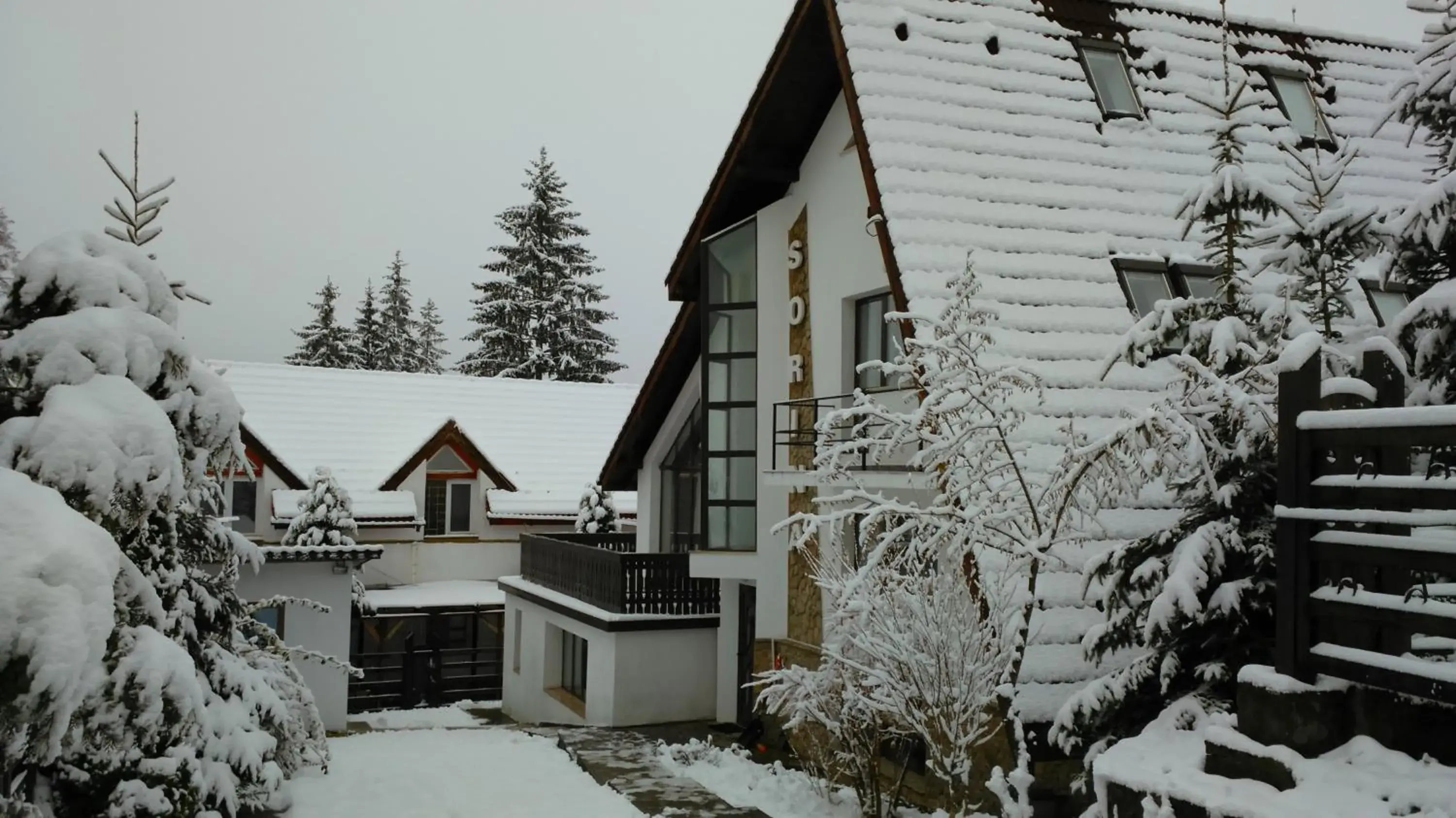 Vila Sorina Vila Sorina