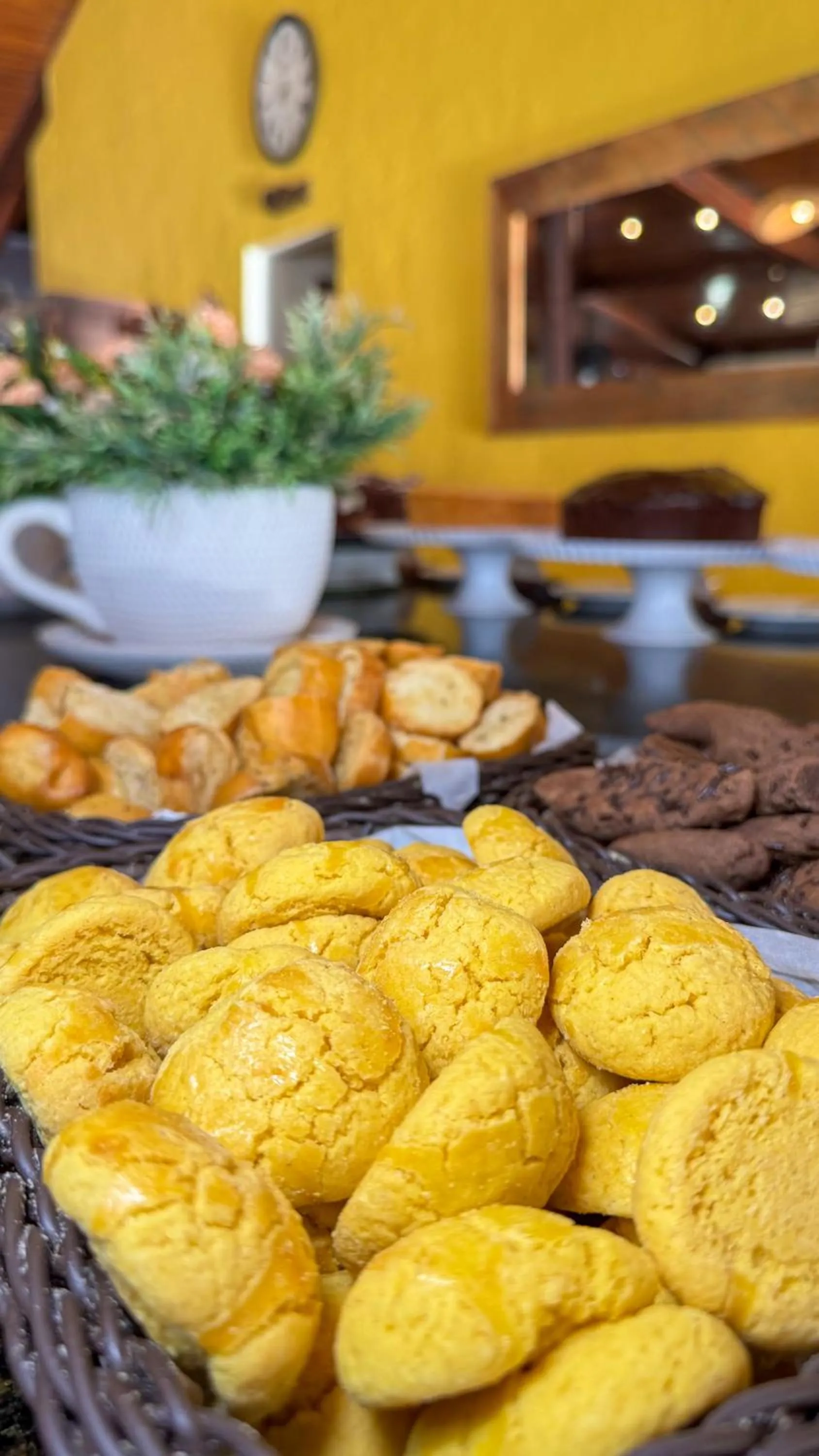 Bosque do Porto Praia Hotel