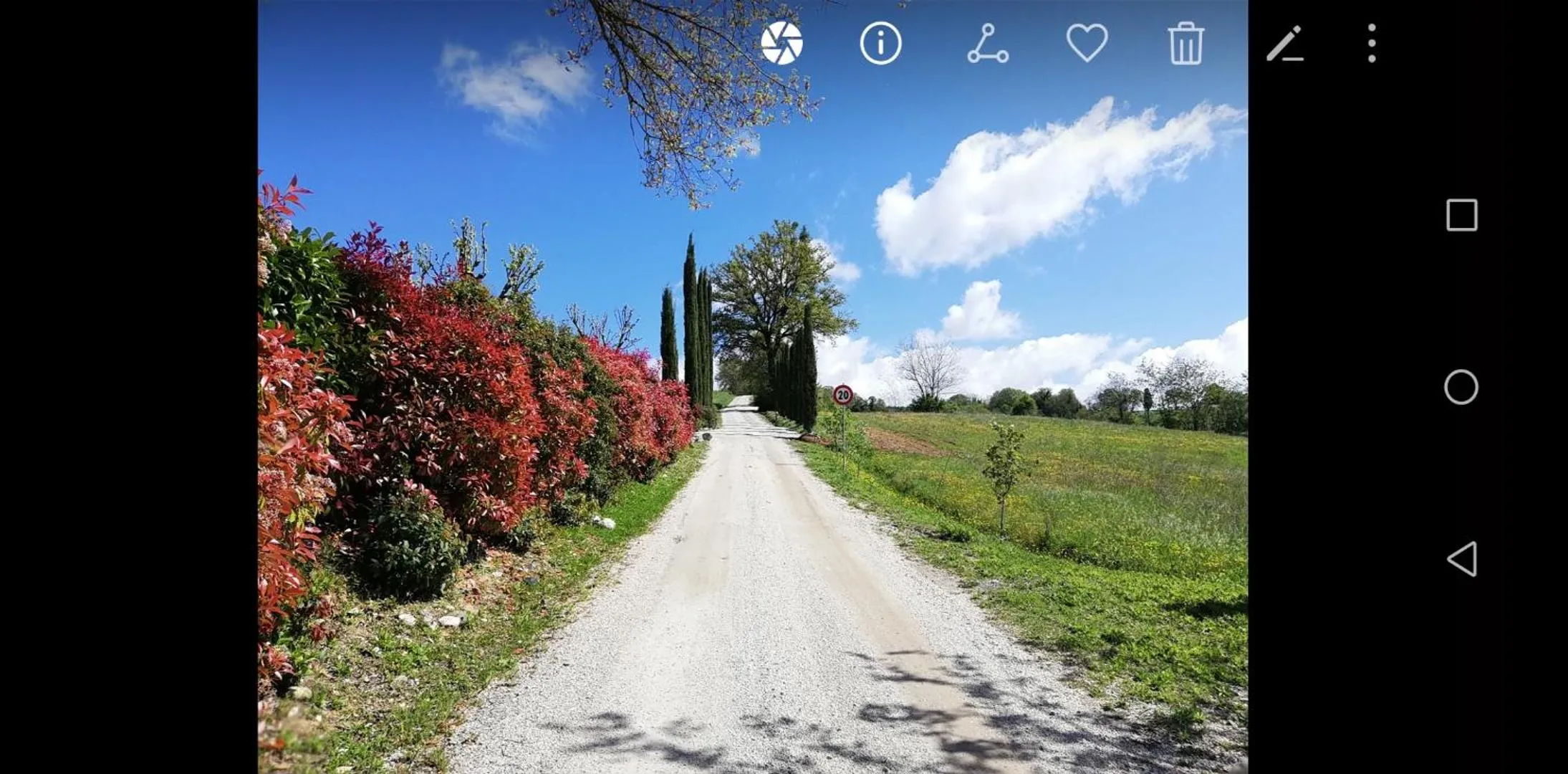Street view in Tinaia