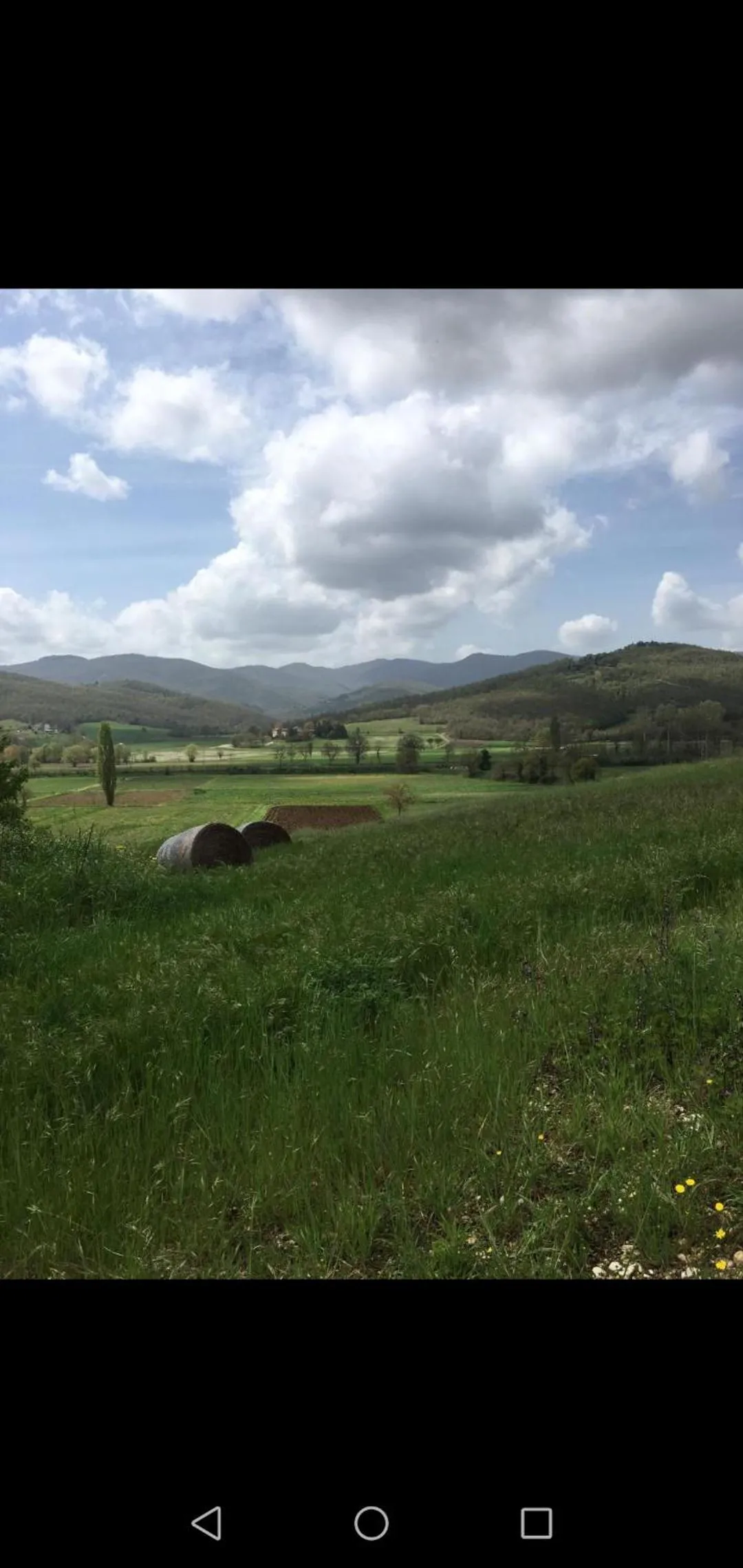 Natural landscape in Tinaia